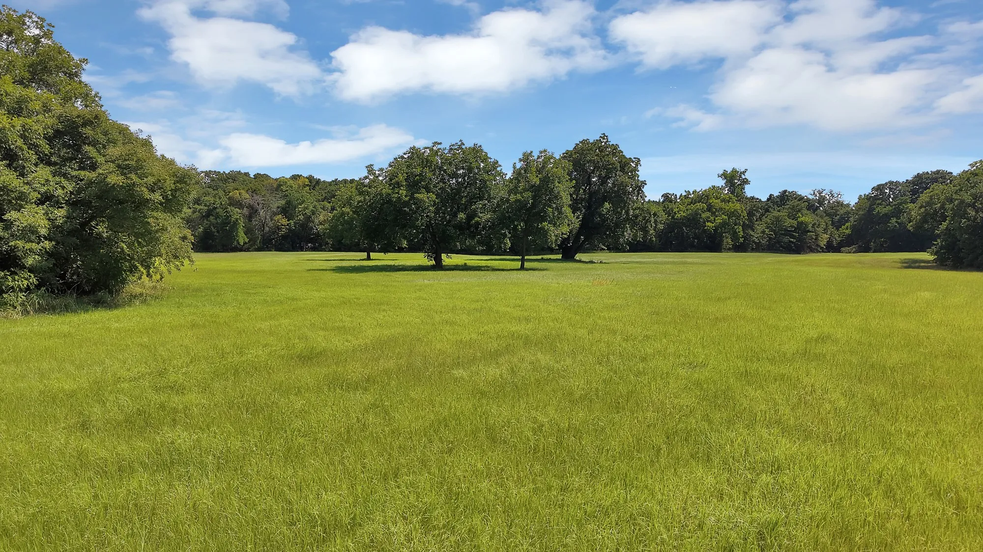 Ranch For Sale in Montague County , 415 Southwood Street, Bowie, Texas 76230, 0, 0, Garage spaces, 0 Sqft, built in 1994, mls#21351344, Real Estate Agent in Bowie, Homes For Sale in Montague county, Homes For Sale in Bowie, Realtor in Bowie Texas, Real Estate Brokerage Independent Realty Texas, Luminita Cordes Realtor