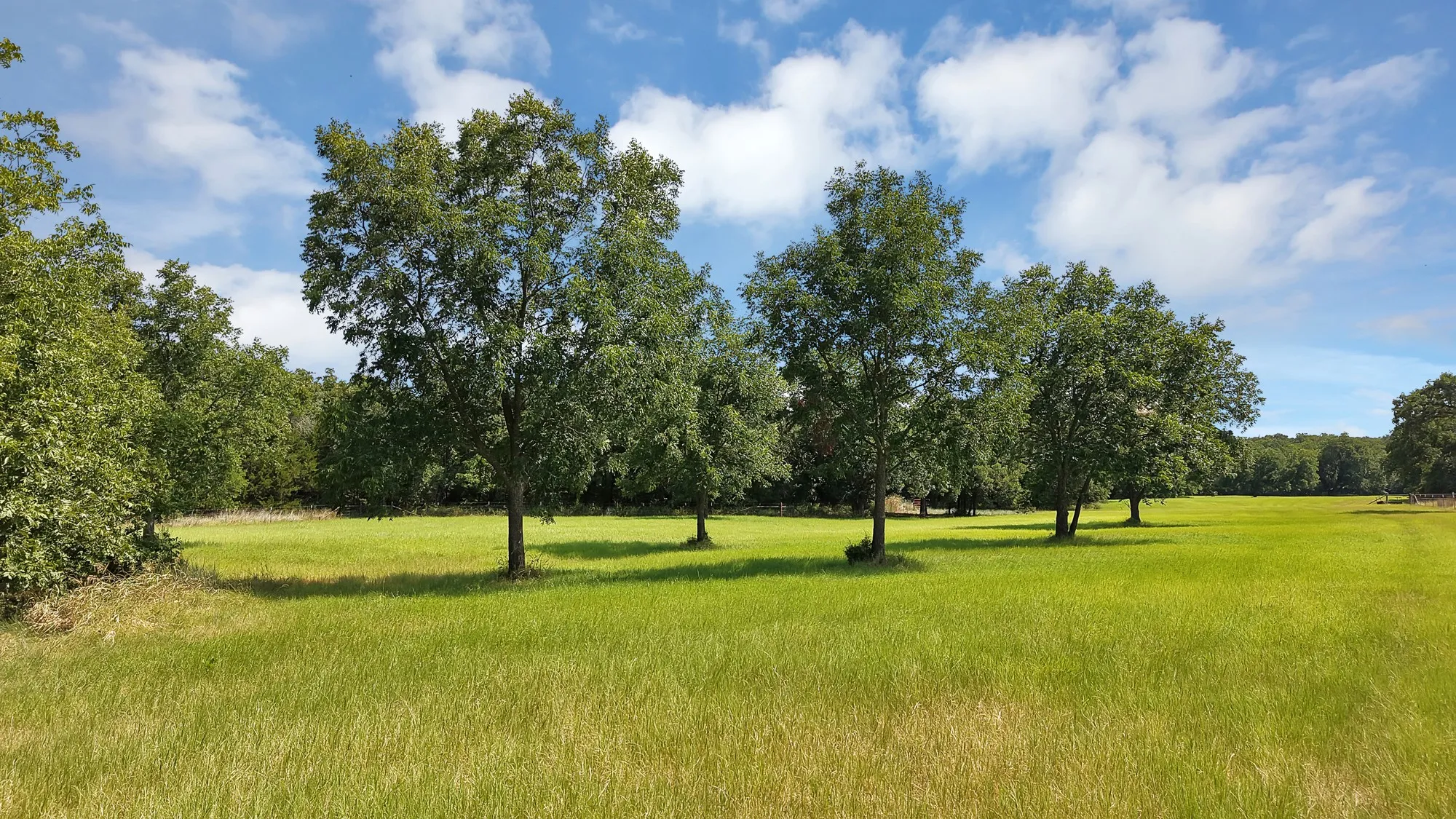 Ranch For Sale in Montague County , 415 Southwood Street, Bowie, Texas 76230, 0, 0, Garage spaces, 0 Sqft, built in 1994, mls#21351344, Real Estate Agent in Bowie, Homes For Sale in Montague county, Homes For Sale in Bowie, Realtor in Bowie Texas, Real Estate Brokerage Independent Realty Texas, Luminita Cordes Realtor