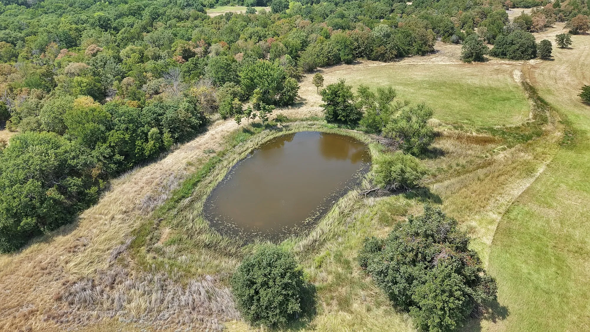 Ranch For Sale in Montague County , 415 Southwood Street, Bowie, Texas 76230, 0, 0, Garage spaces, 0 Sqft, built in 1994, mls#21351344, Real Estate Agent in Bowie, Homes For Sale in Montague county, Homes For Sale in Bowie, Realtor in Bowie Texas, Real Estate Brokerage Independent Realty Texas, Luminita Cordes Realtor