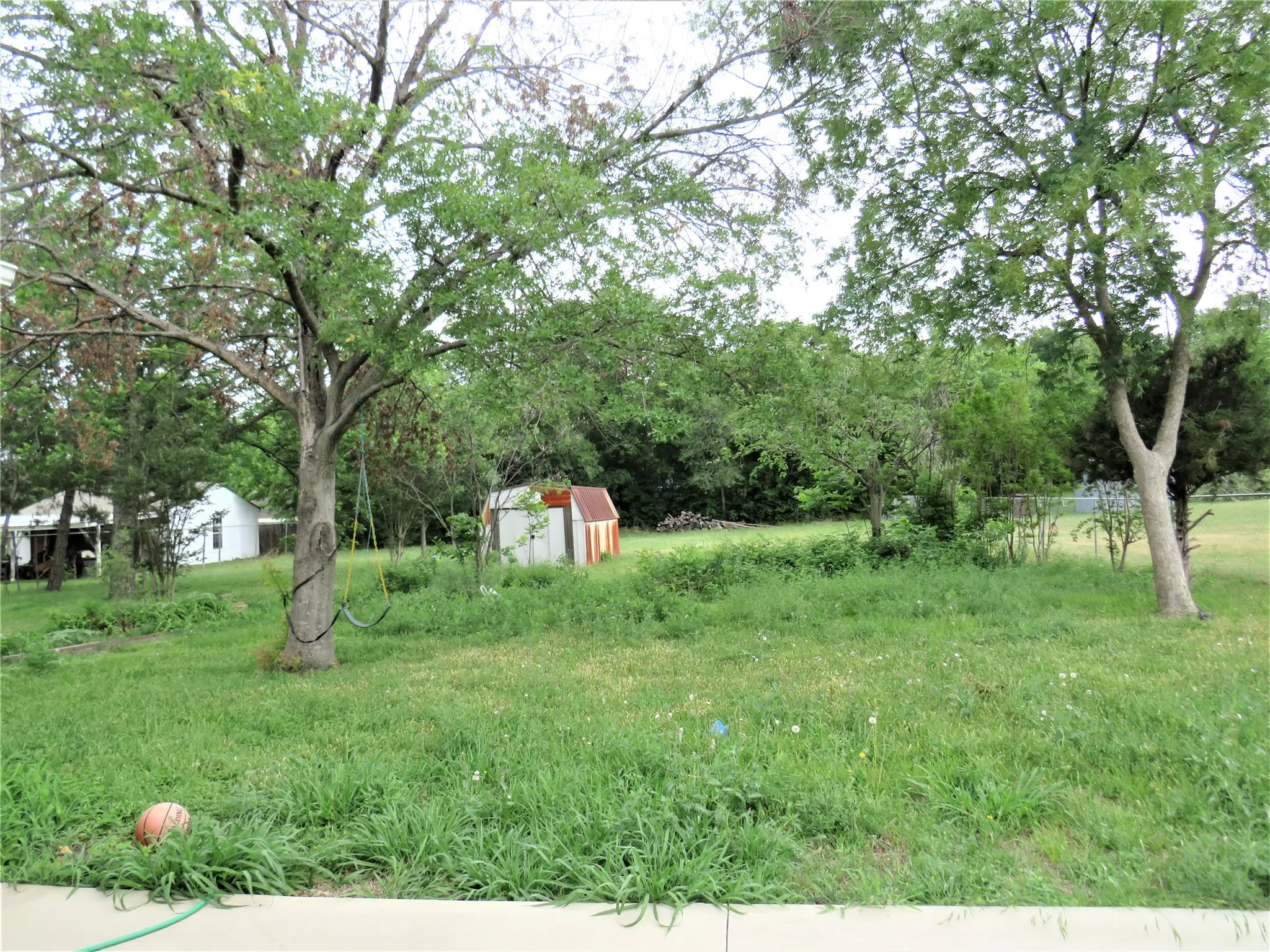 Expansive green space with established trees