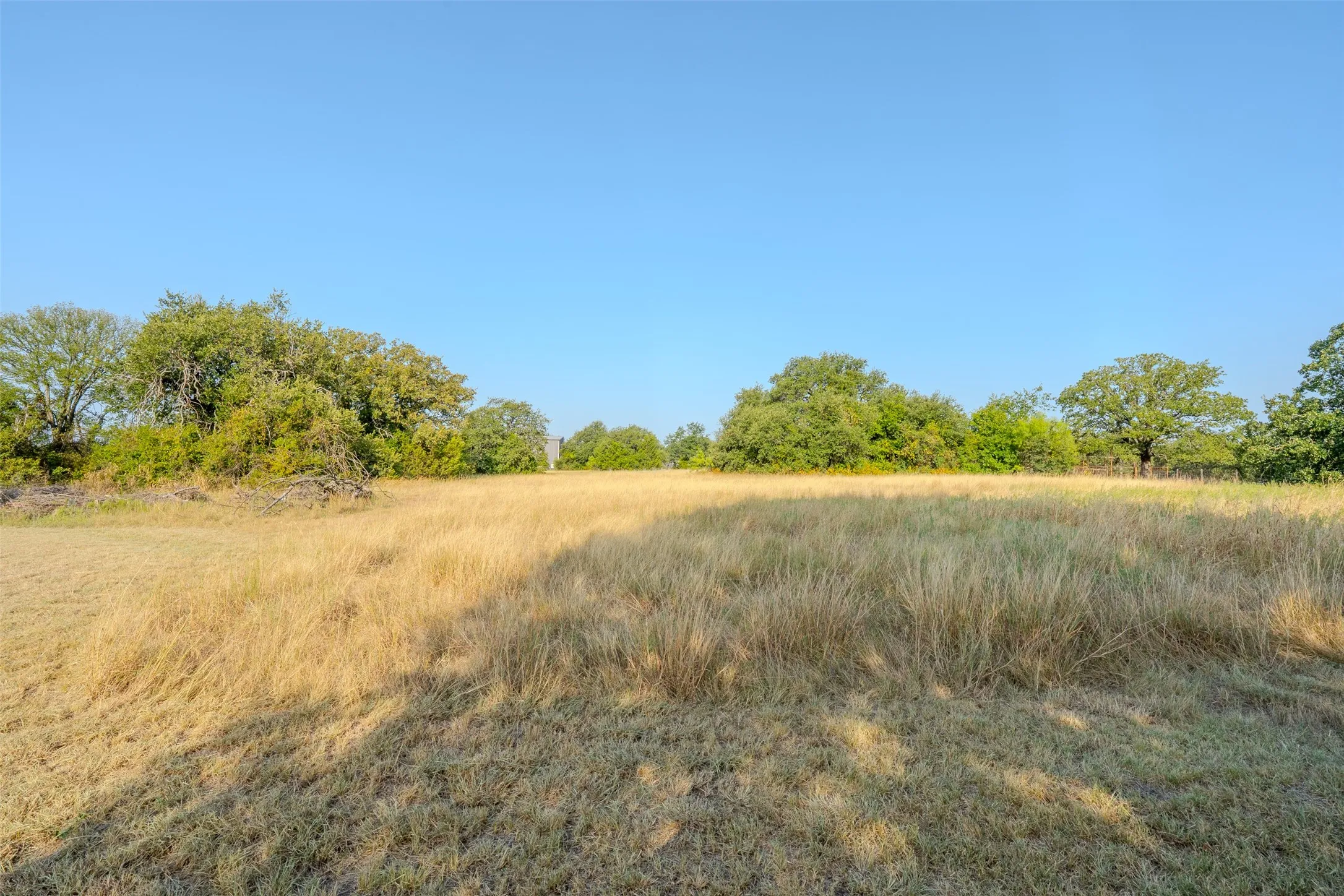 Farm For Sale in Erath County , 16094 County Road 351, Dublin, Texas 76446, 2 Bedroom, 2 Bathroom, 2 Garage spaces, 2,837 Sqft, built in 1949, mls#21353737, Real Estate Agent in Dublin, Homes For Sale in Erath county, Homes For Sale in Dublin, Realtor in Dublin Texas, Real Estate Brokerage Independent Realty Texas, Luminita Cordes Realtor