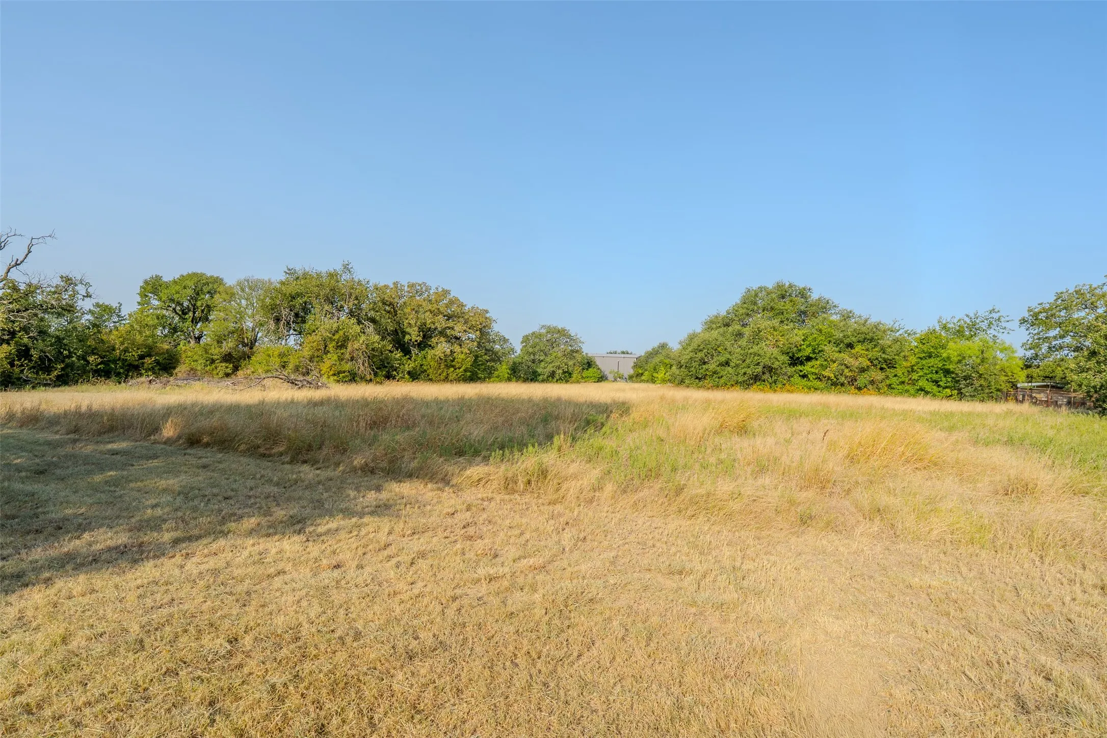 Farm For Sale in Erath County , 16094 County Road 351, Dublin, Texas 76446, 2 Bedroom, 2 Bathroom, 2 Garage spaces, 2,837 Sqft, built in 1949, mls#21353737, Real Estate Agent in Dublin, Homes For Sale in Erath county, Homes For Sale in Dublin, Realtor in Dublin Texas, Real Estate Brokerage Independent Realty Texas, Luminita Cordes Realtor