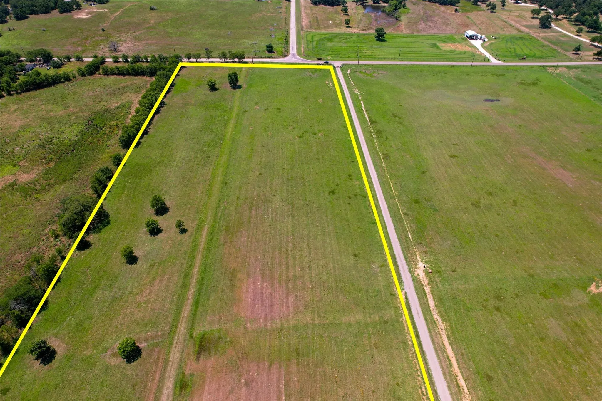 Expansive grassed lot with mature trees and perimeter tree line