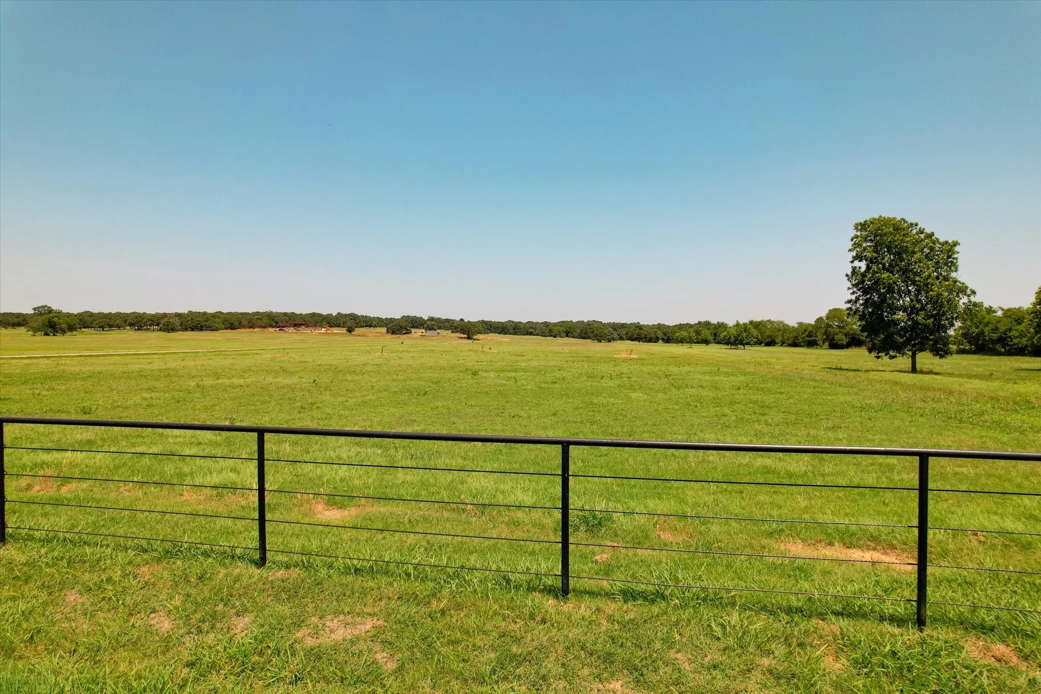 Expansive pastoral acreage featuring lush green pastureland with black metal ranch-style fencing, mature shade trees, and clear sightlines across the property
