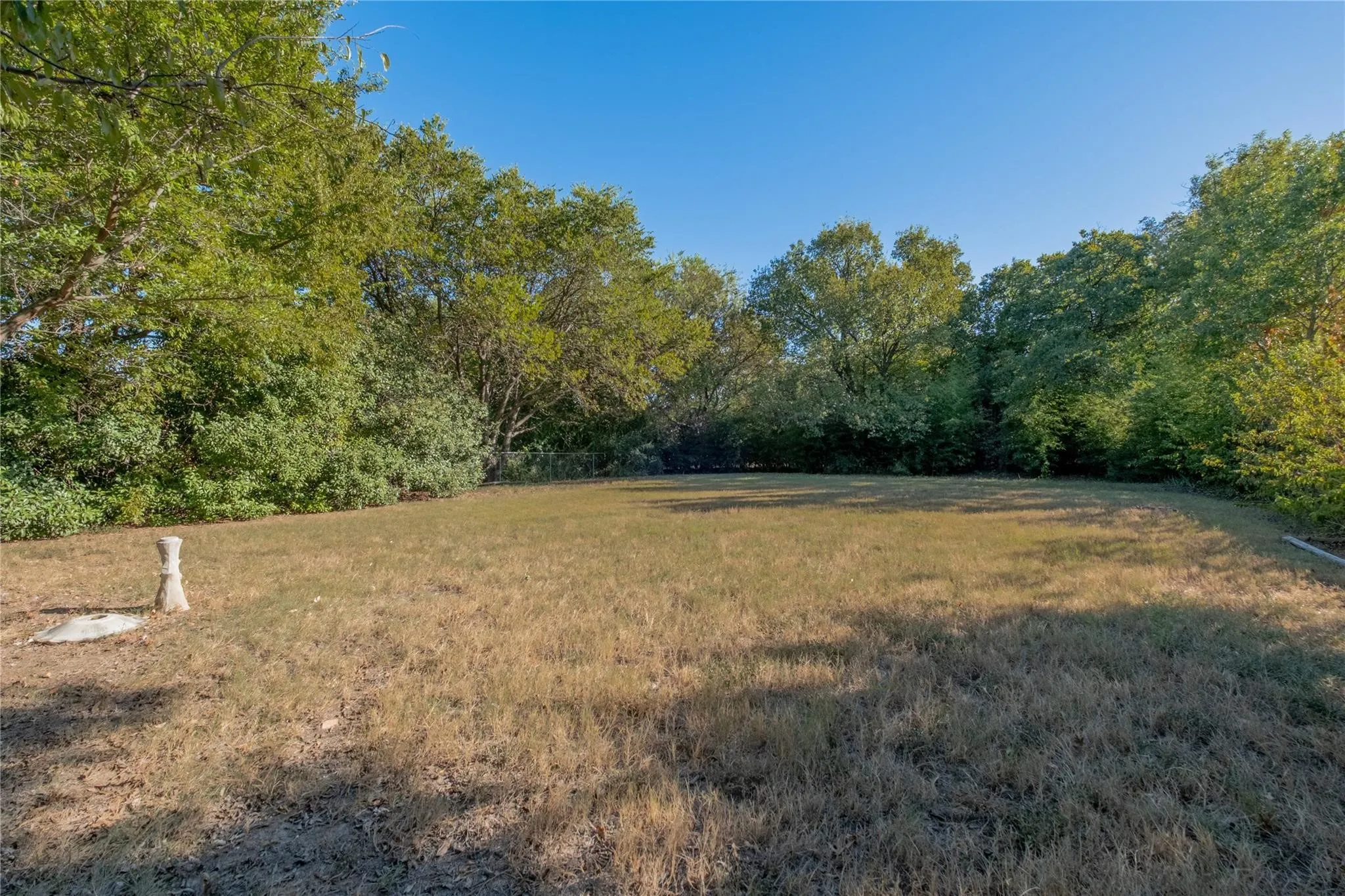 Expansive grassy area surrounded by mature trees