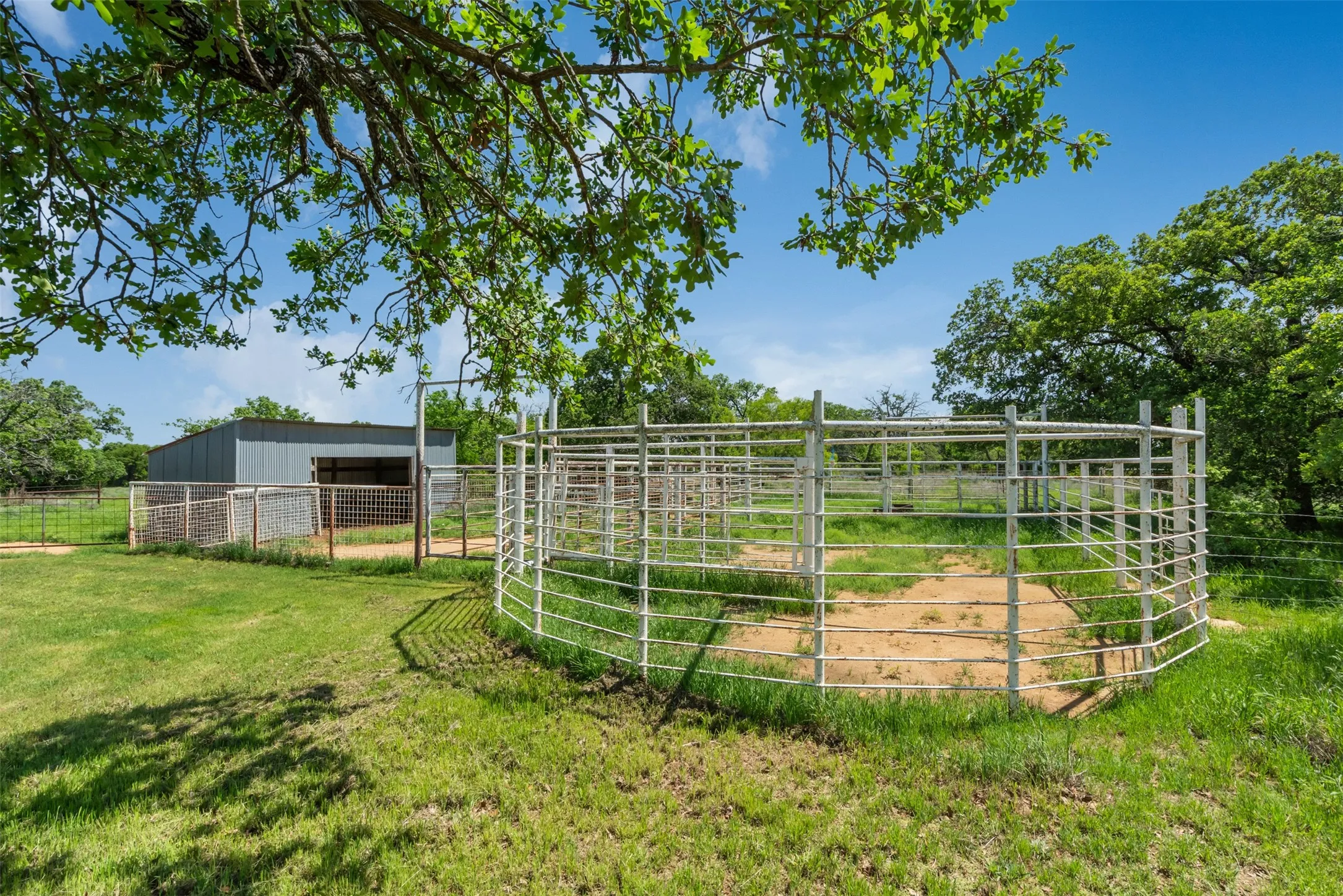 Ranch For Sale in Clay County , 3377 Lodge Creek Road, Henrietta, Texas 76365, 0, 0, Garage spaces, 0 Sqft, built in 0, mls#21353882, Real Estate Agent in Henrietta, Homes For Sale in Clay county, Homes For Sale in Henrietta, Realtor in Henrietta Texas, Real Estate Brokerage Independent Realty Texas, Luminita Cordes Realtor