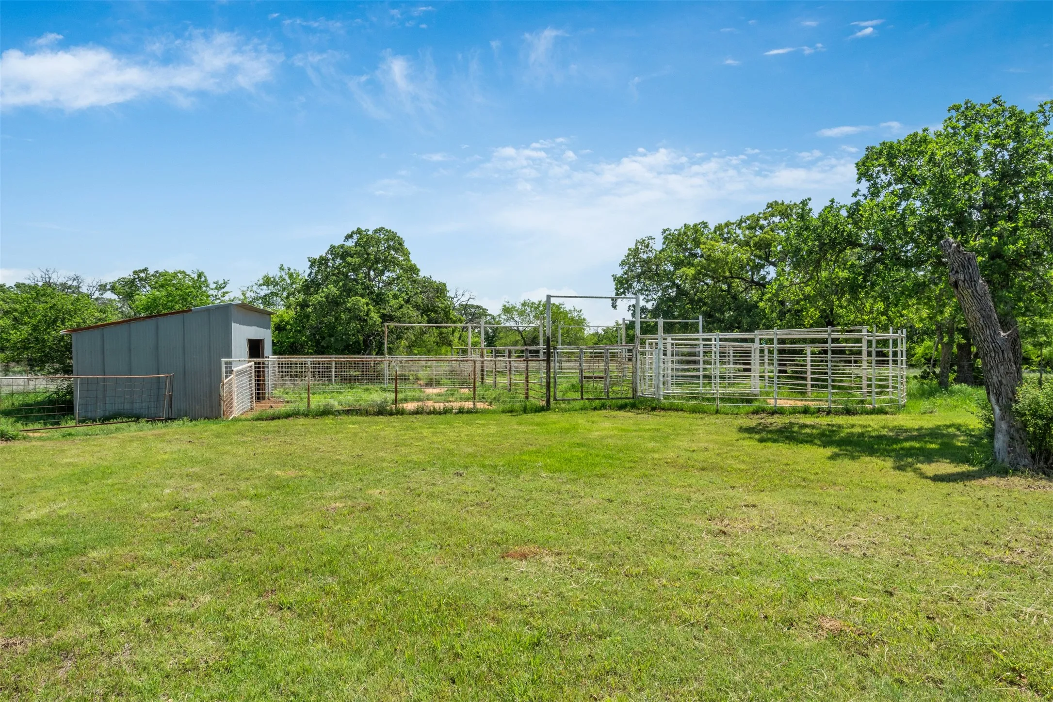 Ranch For Sale in Clay County , 3377 Lodge Creek Road, Henrietta, Texas 76365, 0, 0, Garage spaces, 0 Sqft, built in 0, mls#21353882, Real Estate Agent in Henrietta, Homes For Sale in Clay county, Homes For Sale in Henrietta, Realtor in Henrietta Texas, Real Estate Brokerage Independent Realty Texas, Luminita Cordes Realtor