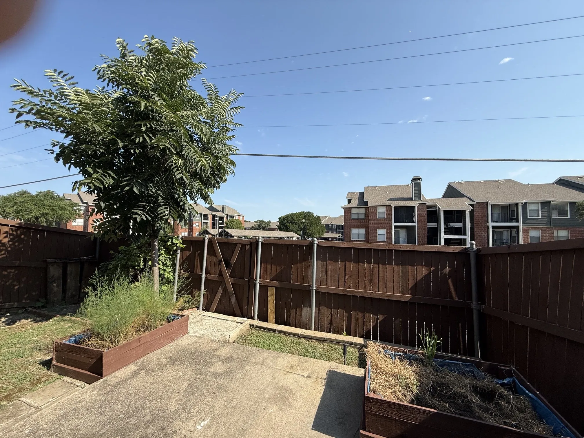 Back yard