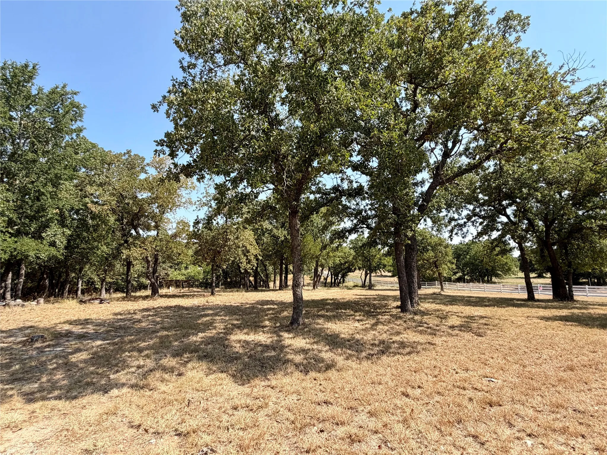 Mobile Home For Sale in Wise County , 469 County Road 1743, Chico, Texas 76431, 3 Bedroom, 2 Bathroom, Garage spaces, 1,700 Sqft, built in 2024, Price $249,999, mls#21353449, Real Estate Agent in Chico, Homes For Sale in Wise county, Homes For Sale in Chico, Realtor in Chico Texas, Real Estate Brokerage Independent Realty Texas, Luminita Cordes Realtor