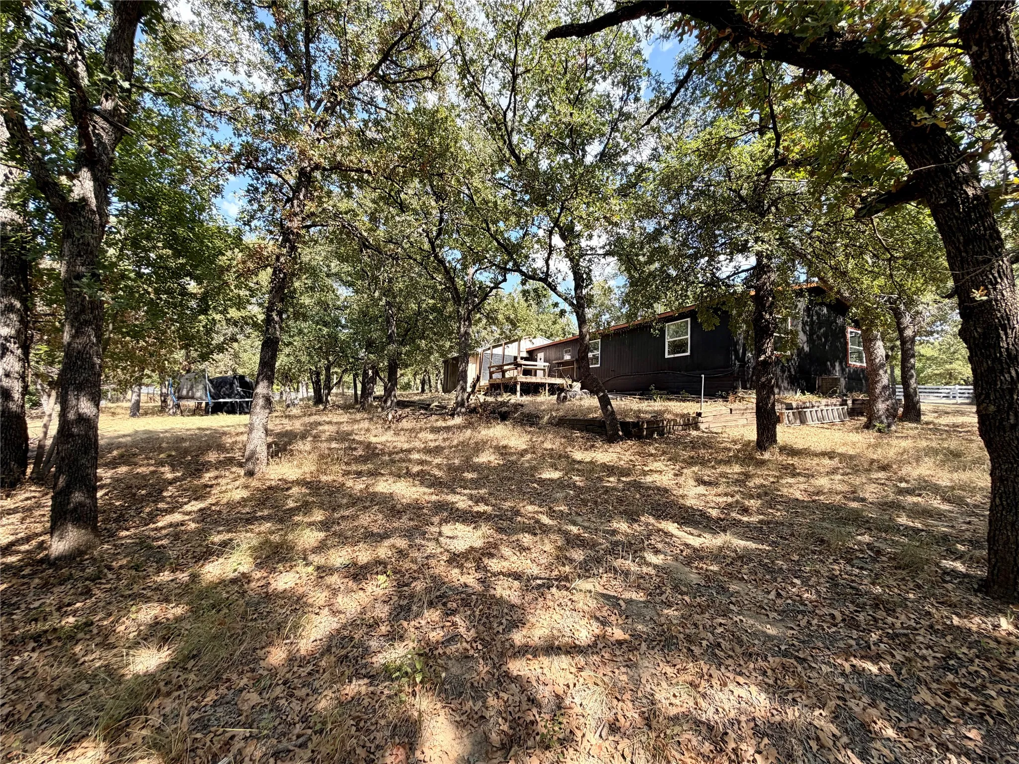 View in backyard