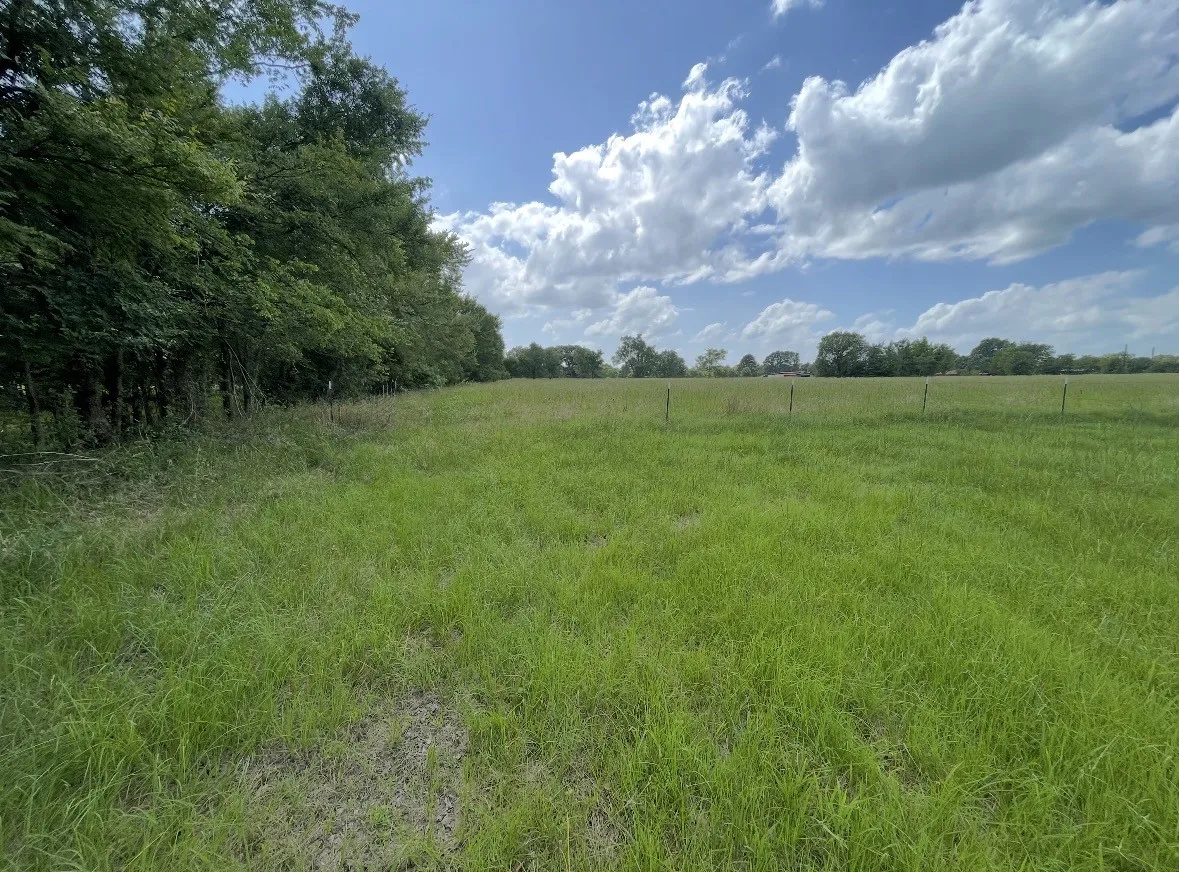 Improved Land For Sale in Rains County , Lot 7 Rs County Road 3425, Emory, Texas 75440, 0, 0, Garage spaces, 0 Sqft, built in 0, Price $55,000, mls#21353946, Real Estate Agent in Emory, Homes For Sale in Rains county, Homes For Sale in Emory, Realtor in Emory Texas, Real Estate Brokerage Independent Realty Texas, Luminita Cordes Realtor