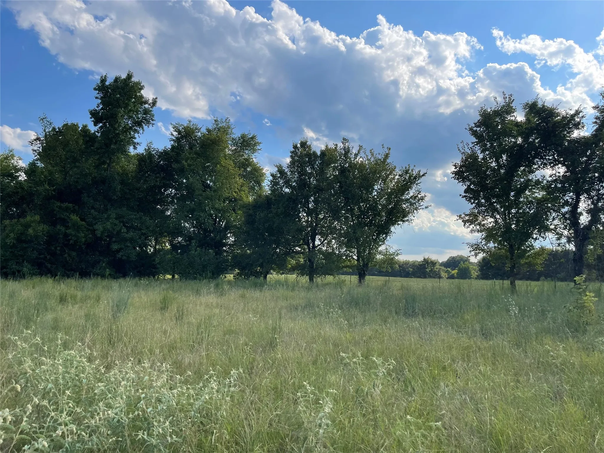 View of undeveloped land featuring rural landscape