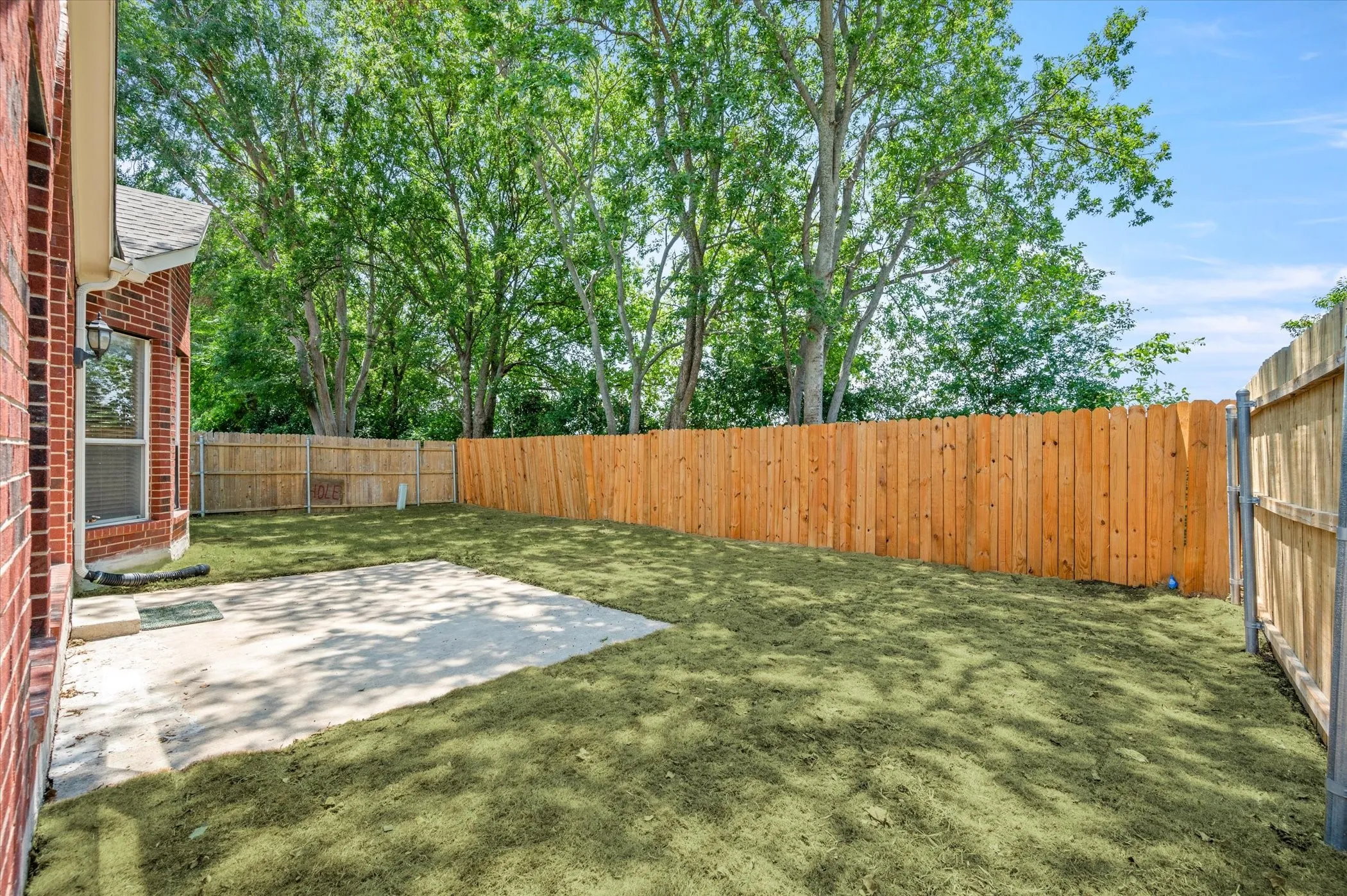 Private backyard with a concrete patio, wood privacy fence, and newly seeded lawn