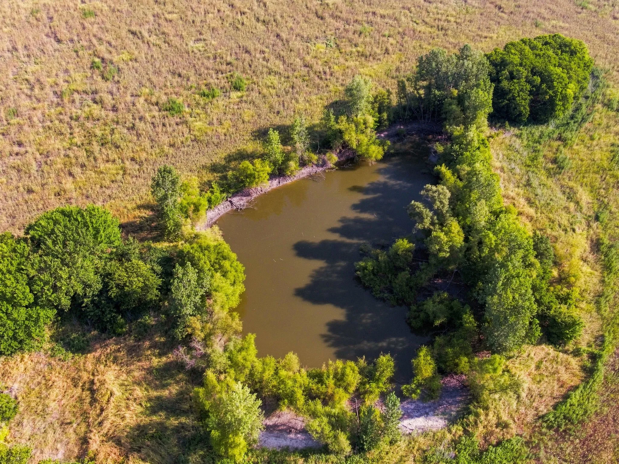 Unimproved Land For Sale in Ellis County , 8424 W Ennis Avenue, Ennis, Texas 75119, 0, 0, Garage spaces, 0 Sqft, built in 2002, Price $9,166,500, mls#21354003, Real Estate Agent in Ennis, Homes For Sale in Ellis county, Homes For Sale in Ennis, Realtor in Ennis Texas, Real Estate Brokerage Independent Realty Texas, Luminita Cordes Realtor
