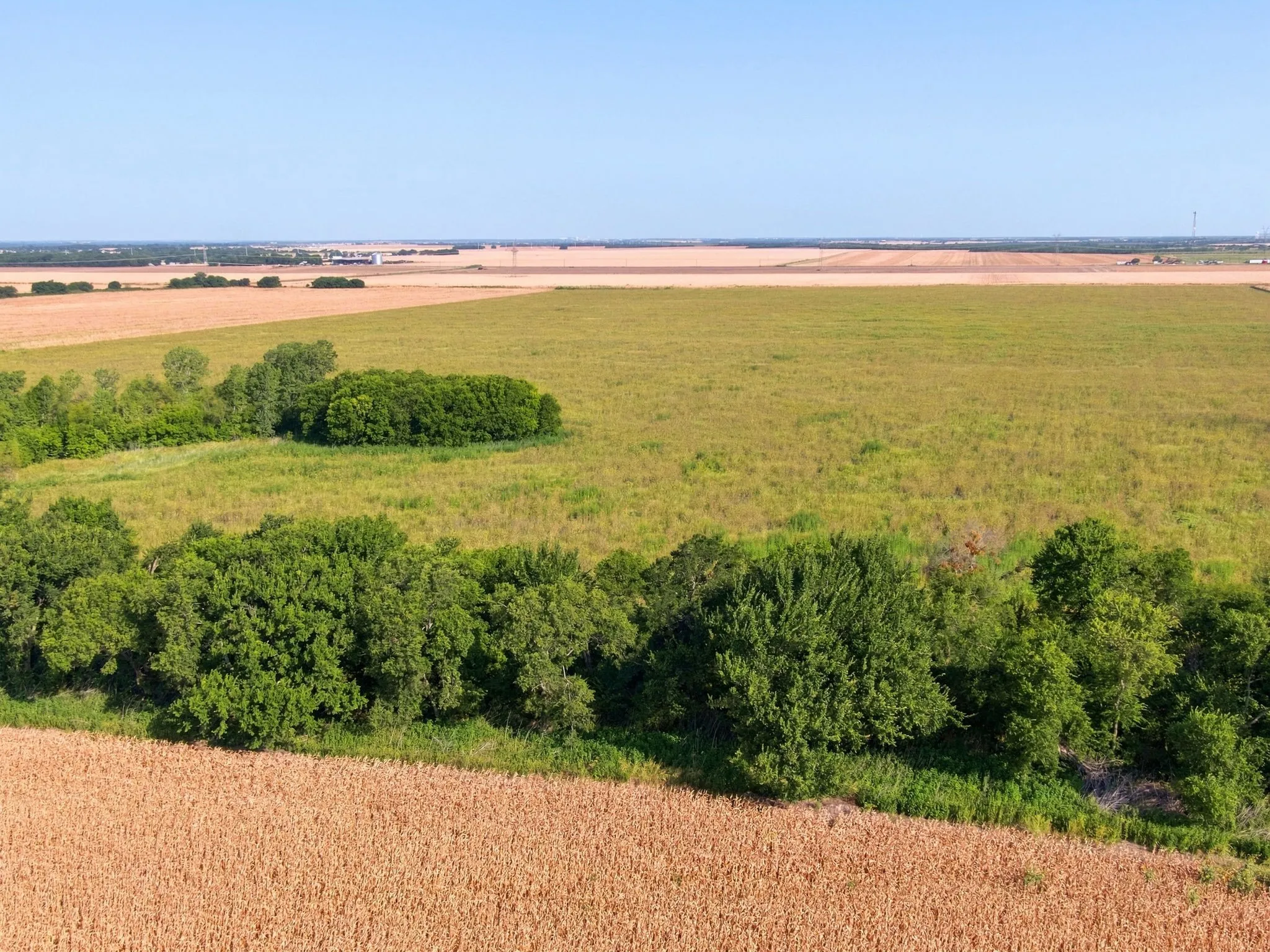 Unimproved Land For Sale in Ellis County , 8424 W Ennis Avenue, Ennis, Texas 75119, 0, 0, Garage spaces, 0 Sqft, built in 2002, Price $9,166,500, mls#21354003, Real Estate Agent in Ennis, Homes For Sale in Ellis county, Homes For Sale in Ennis, Realtor in Ennis Texas, Real Estate Brokerage Independent Realty Texas, Luminita Cordes Realtor