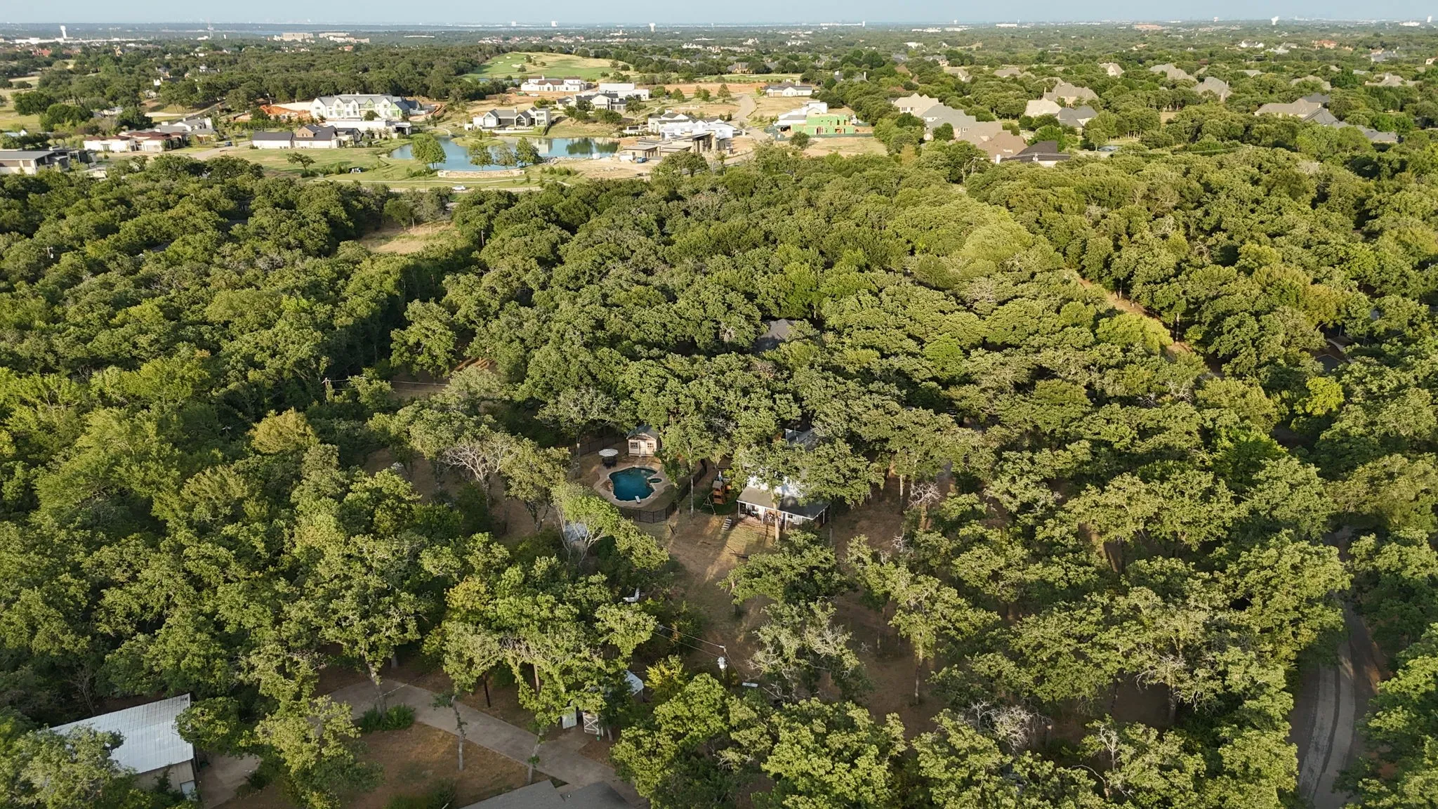 Wooded property featuring an in-ground pool, expansive surrounding foliage, and visible residential structures