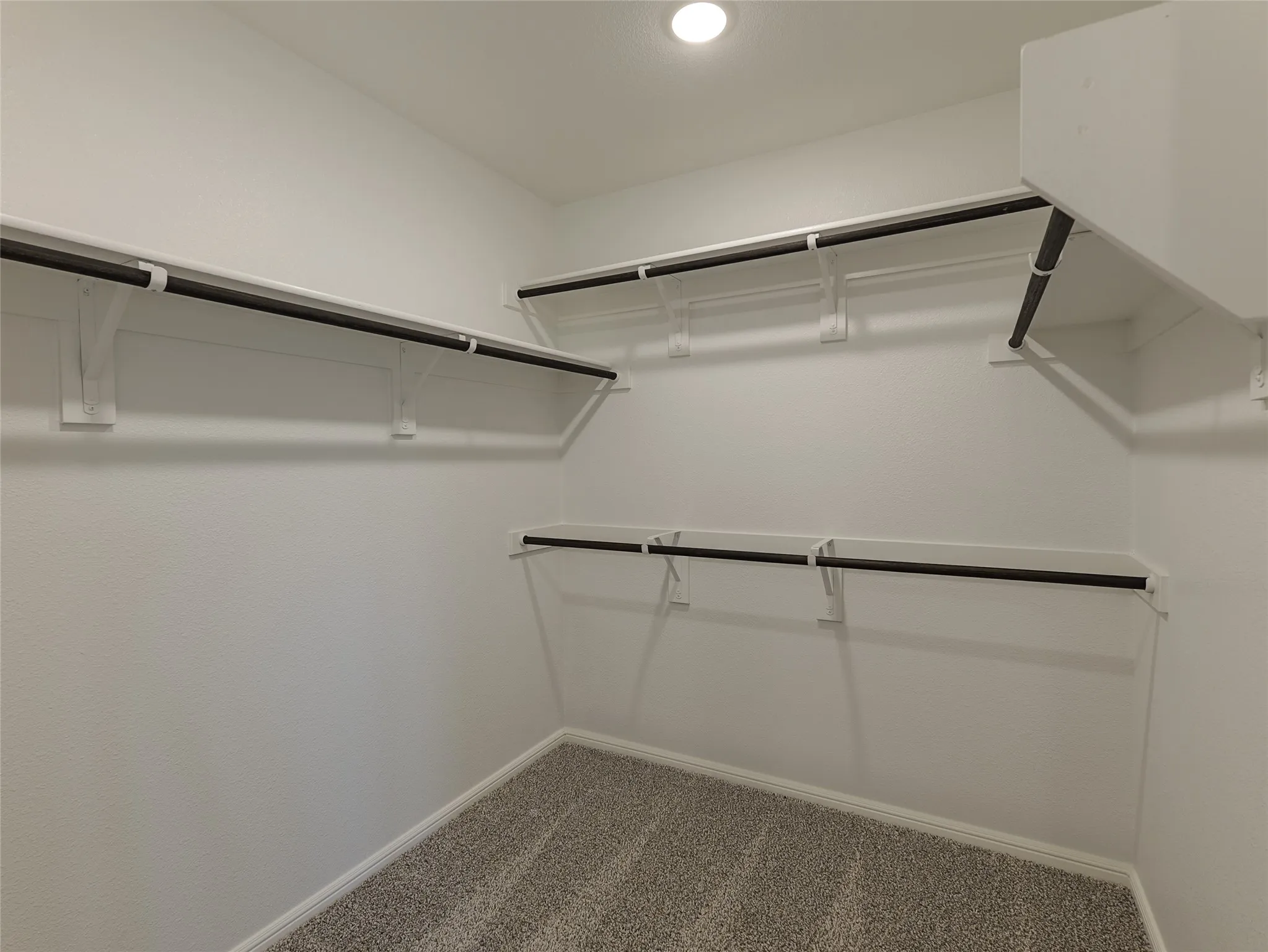 Spacious walk-in closet featuring multiple black metal hanging rods with clear acrylic shelf dividers, textured carpet flooring, and recessed ceiling lighting for optimal visibility and organization