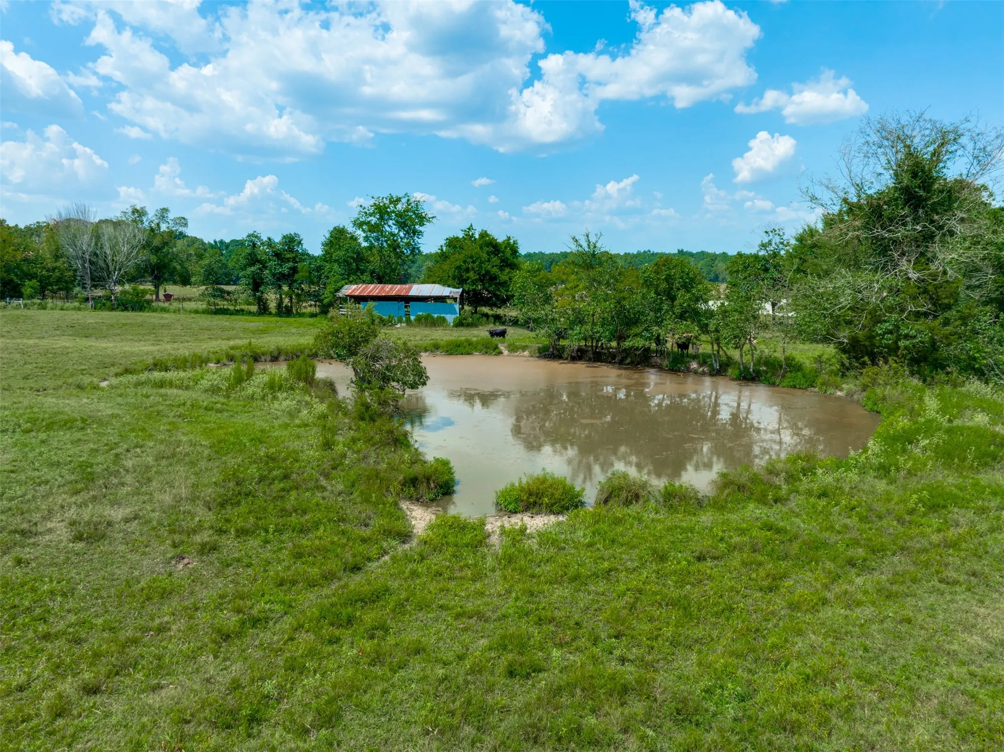 Single Family Residence For Sale in Red River (TX) County , 1521 County Road 3117, Clarksville, Texas 75426, 3 Bedroom, 5 Bathroom, 3 Garage spaces, 4,723 Sqft, built in 2012, mls#21353858, Real Estate Agent in Clarksville, Homes For Sale in Red River (TX) county, Homes For Sale in Clarksville, Realtor in Clarksville Texas, Real Estate Brokerage Independent Realty Texas, Luminita Cordes Realtor