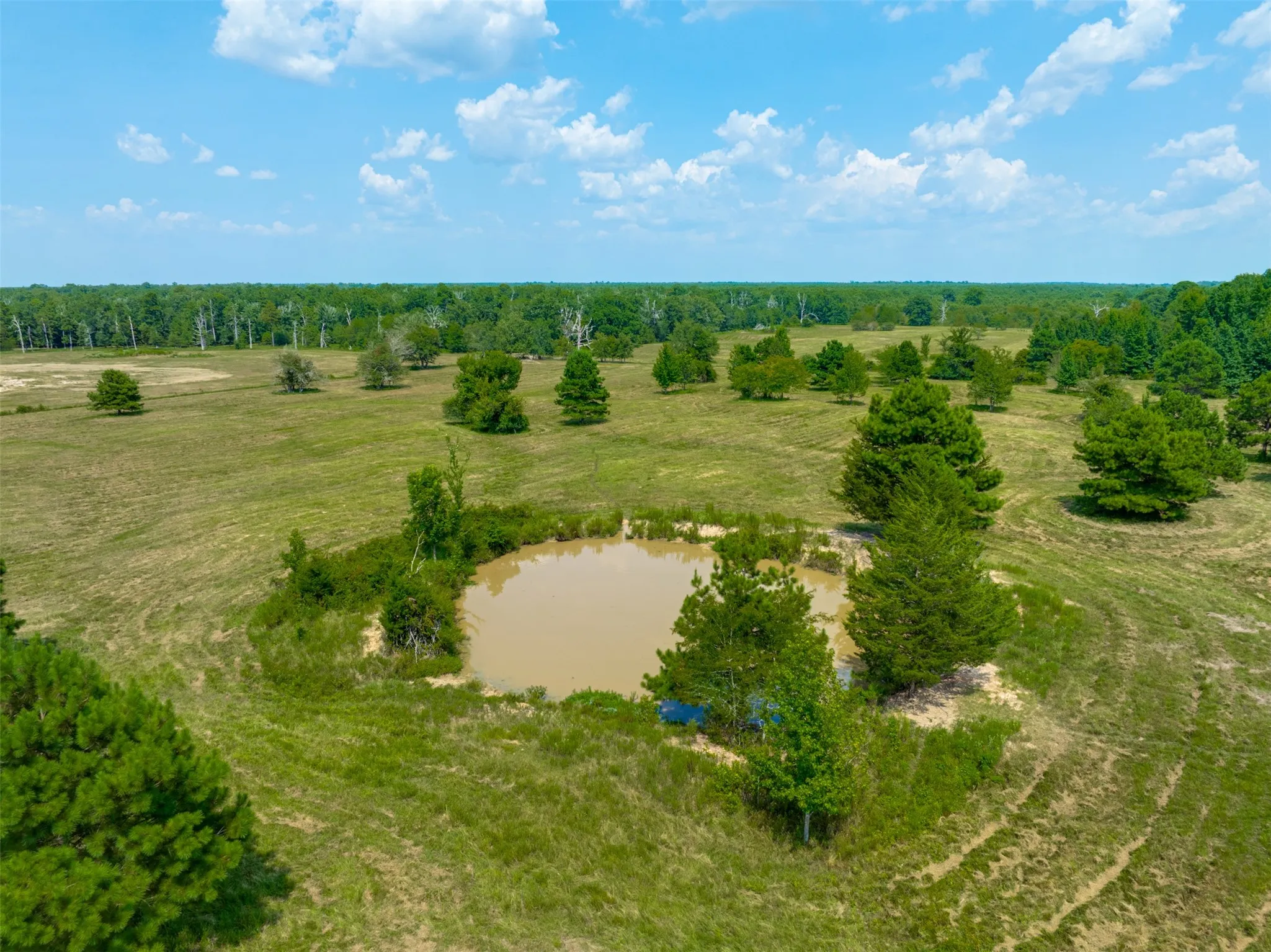 Single Family Residence For Sale in Red River (TX) County , 1521 County Road 3117, Clarksville, Texas 75426, 3 Bedroom, 5 Bathroom, 3 Garage spaces, 4,723 Sqft, built in 2012, mls#21353858, Real Estate Agent in Clarksville, Homes For Sale in Red River (TX) county, Homes For Sale in Clarksville, Realtor in Clarksville Texas, Real Estate Brokerage Independent Realty Texas, Luminita Cordes Realtor