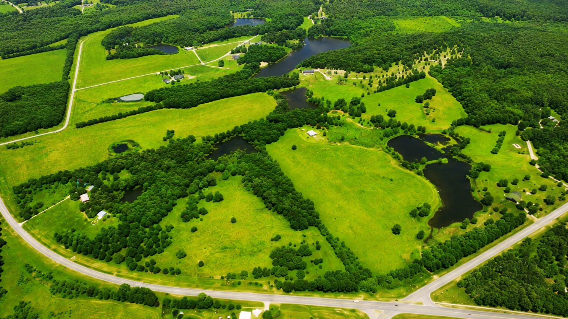 Unimproved Land For Sale in Wood County , TBD Prvt Road 5290, Yantis, Texas 75497, 0, 0, Garage spaces, 0 Sqft, built in 0, mls#21354079, Real Estate Agent in Yantis, Homes For Sale in Wood county, Homes For Sale in Yantis, Realtor in Yantis Texas, Real Estate Brokerage Independent Realty Texas, Luminita Cordes Realtor