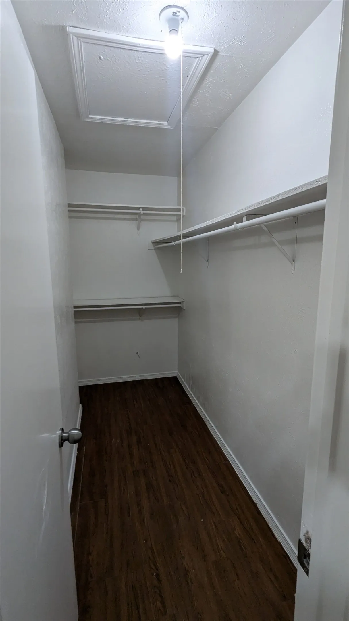 Walk-in closet featuring wood-finish flooring, white walls, and multiple shelving units