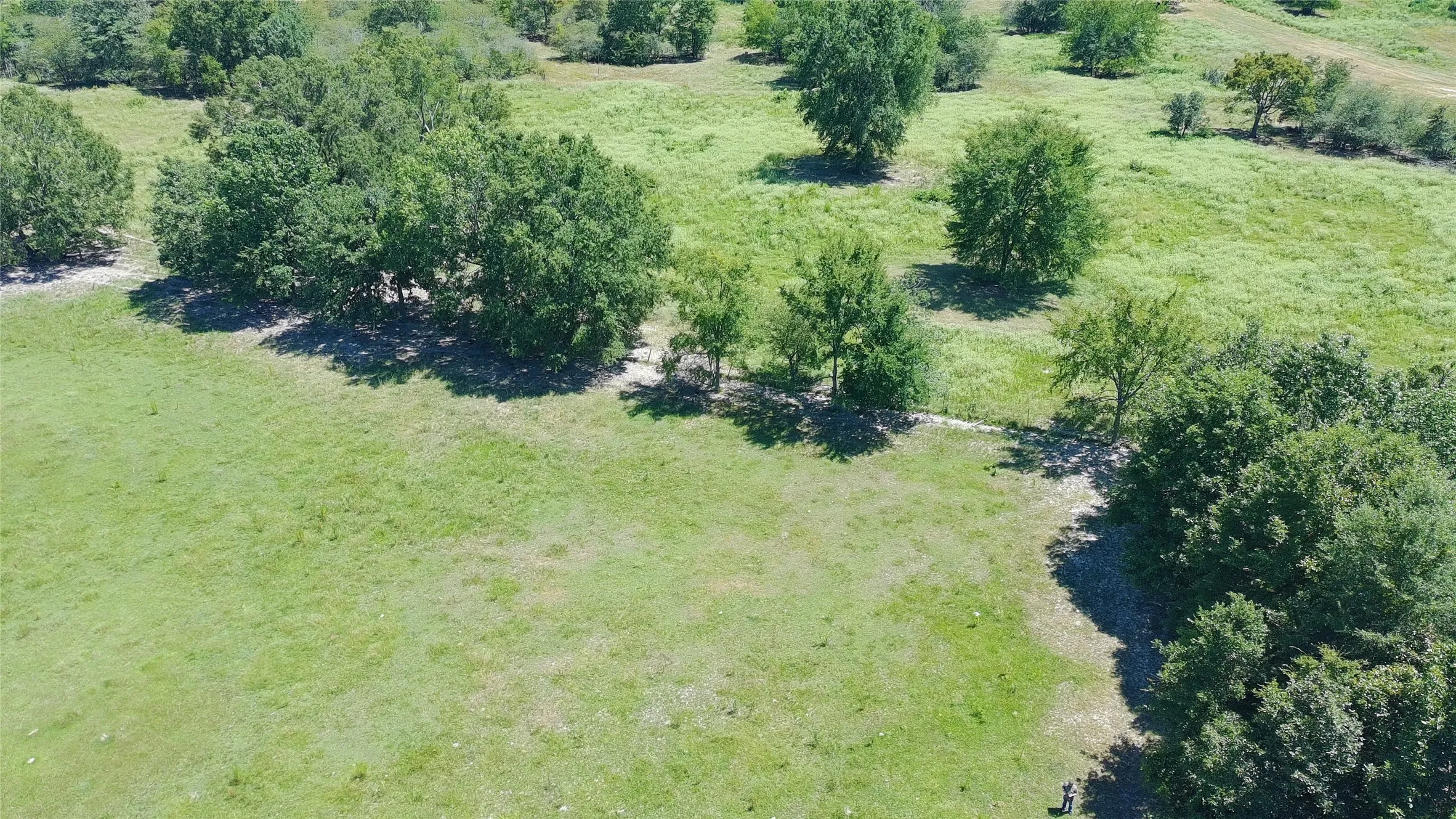 Unimproved Land For Sale in Titus County , 2406 E FM 71, Mt Pleasant, Texas 75455, 0, 0, Garage spaces, 0 Sqft, built in 0, mls#21353019, Real Estate Agent in Mt Pleasant, Homes For Sale in Titus county, Homes For Sale in Mt Pleasant, Realtor in Mt Pleasant Texas, Real Estate Brokerage Independent Realty Texas, Luminita Cordes Realtor