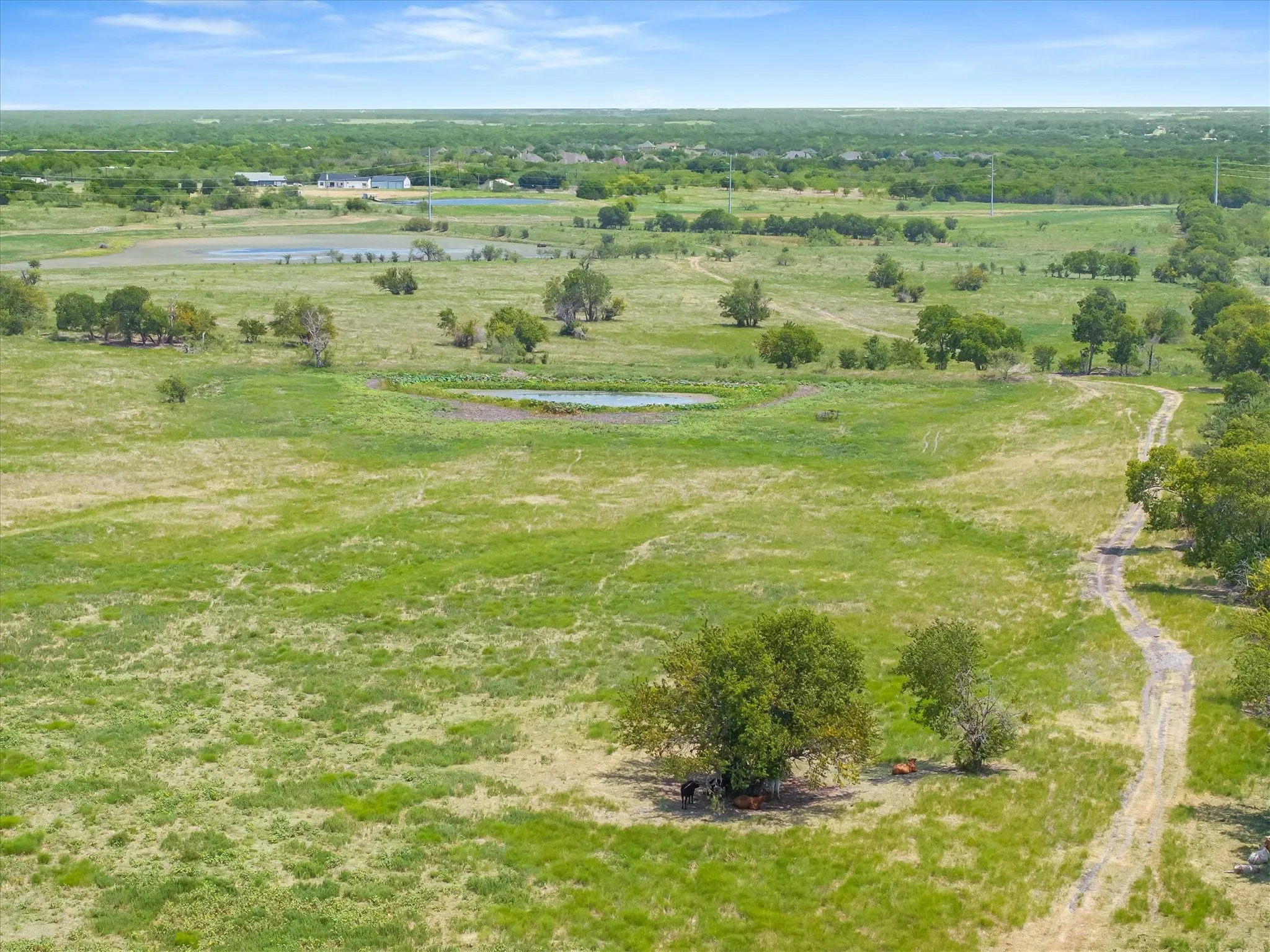 Unimproved Land For Sale in Kaufman County , 5030 N Fm 148, Crandall, Texas 75114, 0, 0, Garage spaces, 0 Sqft, built in 0, mls#21352269, Real Estate Agent in Crandall, Homes For Sale in Kaufman county, Homes For Sale in Crandall, Realtor in Crandall Texas, Real Estate Brokerage Independent Realty Texas, Luminita Cordes Realtor