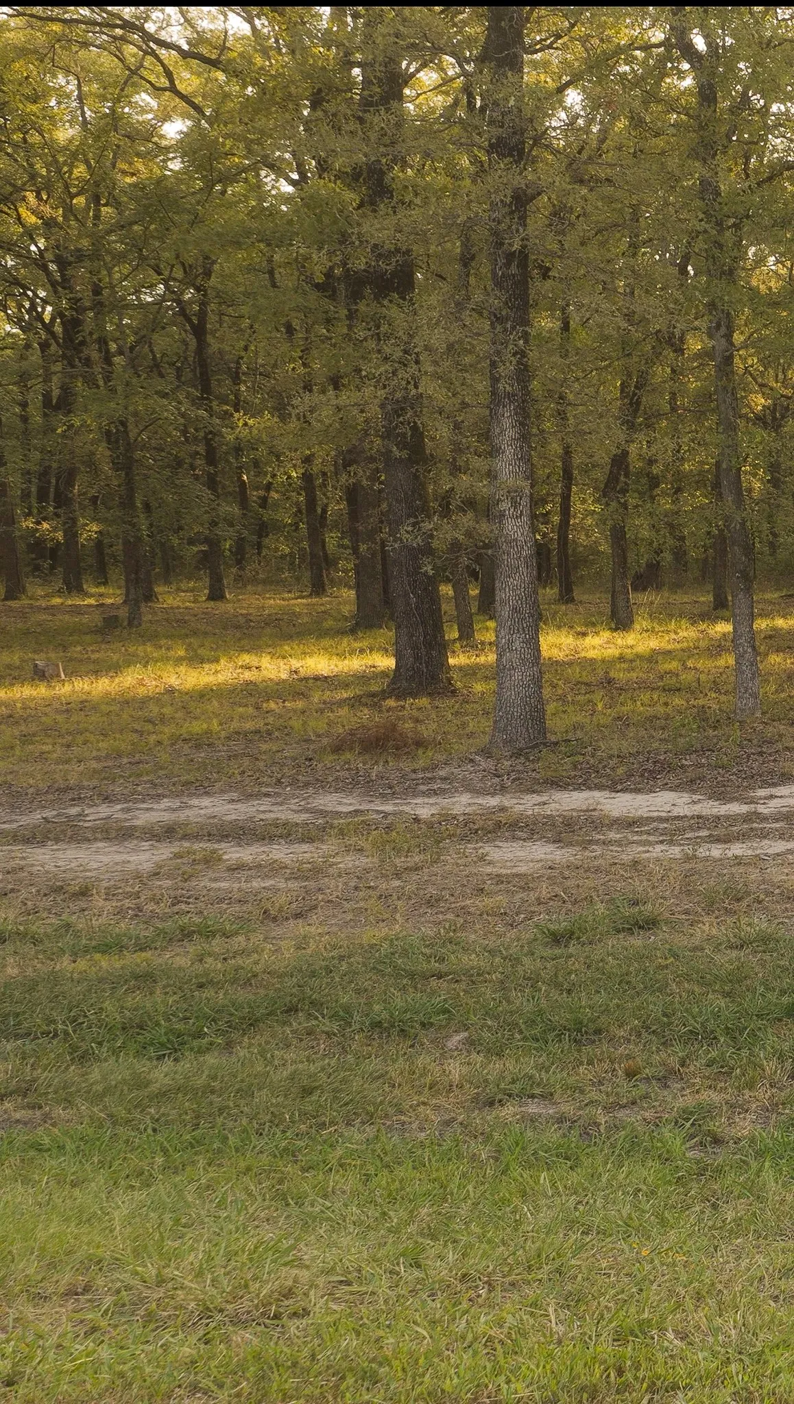 Unimproved Land For Sale in Hunt County , TBD Vintage Shore Drive, Quinlan, Texas 75474, 0, 0, Garage spaces, 0 Sqft, built in 0, mls#21353897, Real Estate Agent in Quinlan, Homes For Sale in Hunt county, Homes For Sale in Quinlan, Realtor in Quinlan Texas, Real Estate Brokerage Independent Realty Texas, Luminita Cordes Realtor