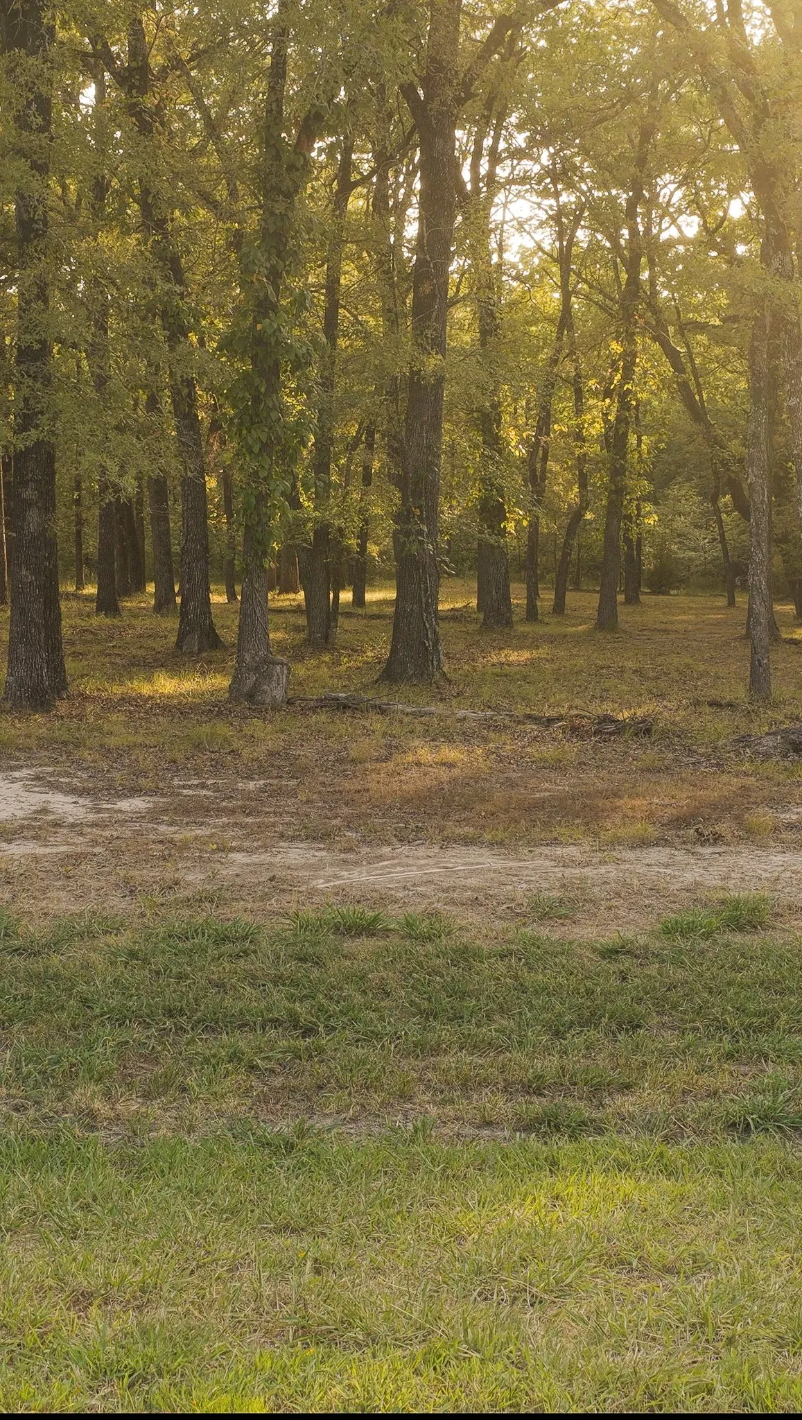 Unimproved Land For Sale in Hunt County , TBD Vintage Shore Drive, Quinlan, Texas 75474, 0, 0, Garage spaces, 0 Sqft, built in 0, mls#21353761, Real Estate Agent in Quinlan, Homes For Sale in Hunt county, Homes For Sale in Quinlan, Realtor in Quinlan Texas, Real Estate Brokerage Independent Realty Texas, Luminita Cordes Realtor