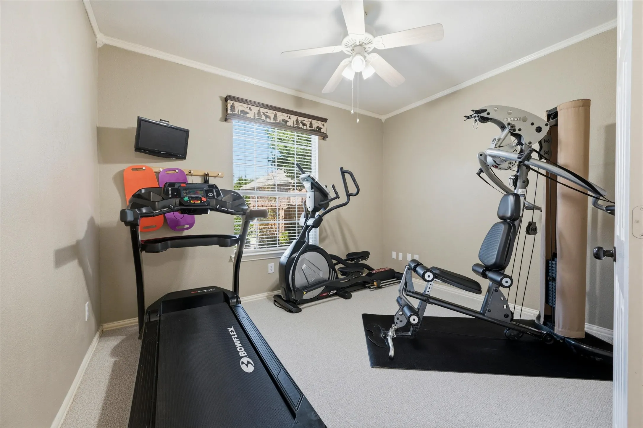 Room with carpet flooring, crown molding, and a ceiling fan
