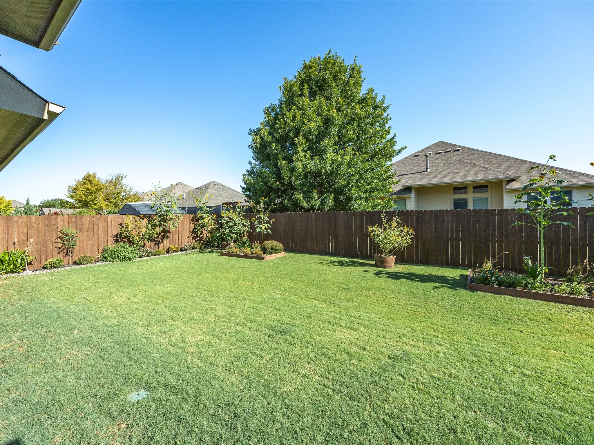 Expansive backyard featuring a lush lawn, privacy fencing, and landscaping with various plantings