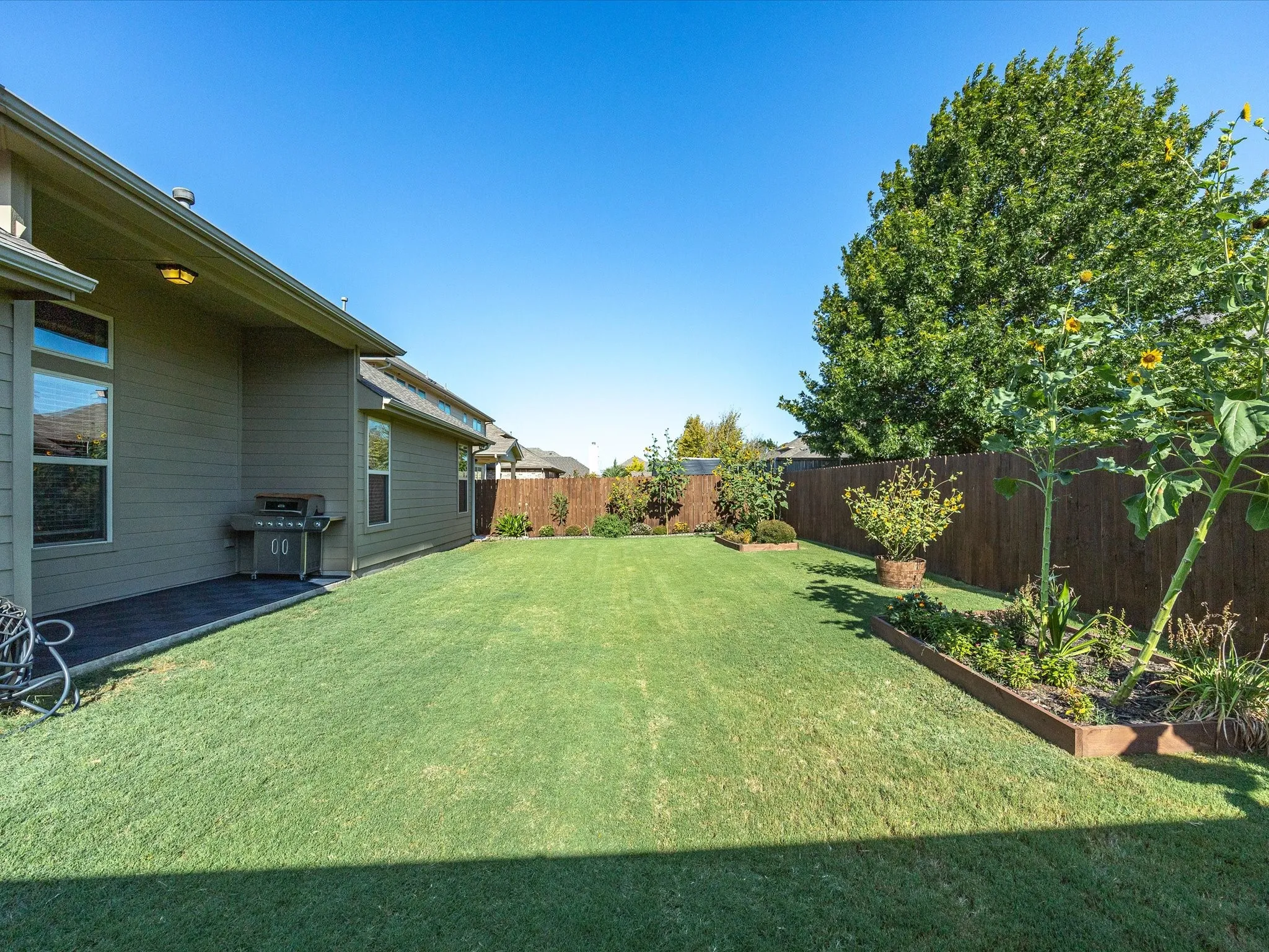 Expansive backyard featuring a green lawn, wood fence, and raised garden beds