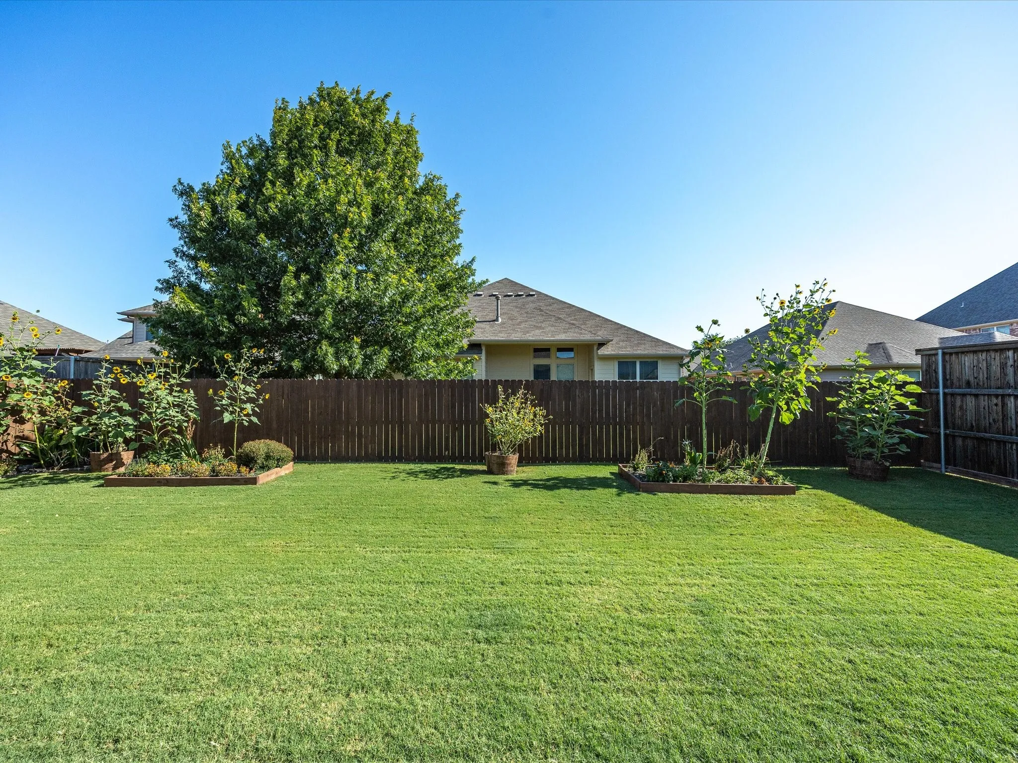 Expansive green lawn, wood privacy fencing, mature trees, and landscaping beds
