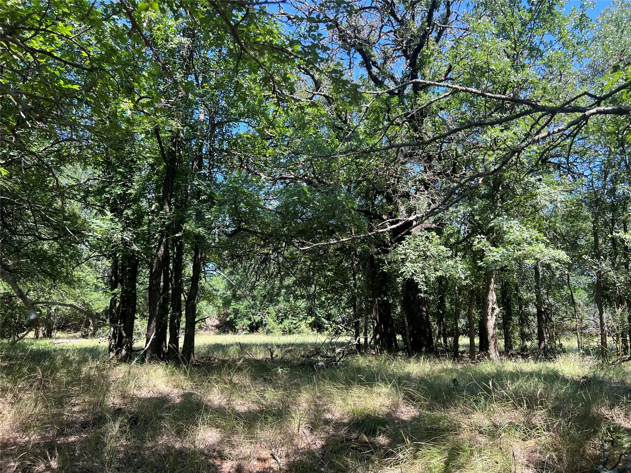 Ranch For Sale in Eastland County , 137 CR, Cisco, Texas 76437, 0, 0, Garage spaces, 0 Sqft, built in 0, mls#21353881, Real Estate Agent in Cisco, Homes For Sale in Eastland county, Homes For Sale in Cisco, Realtor in Cisco Texas, Real Estate Brokerage Independent Realty Texas, Luminita Cordes Realtor