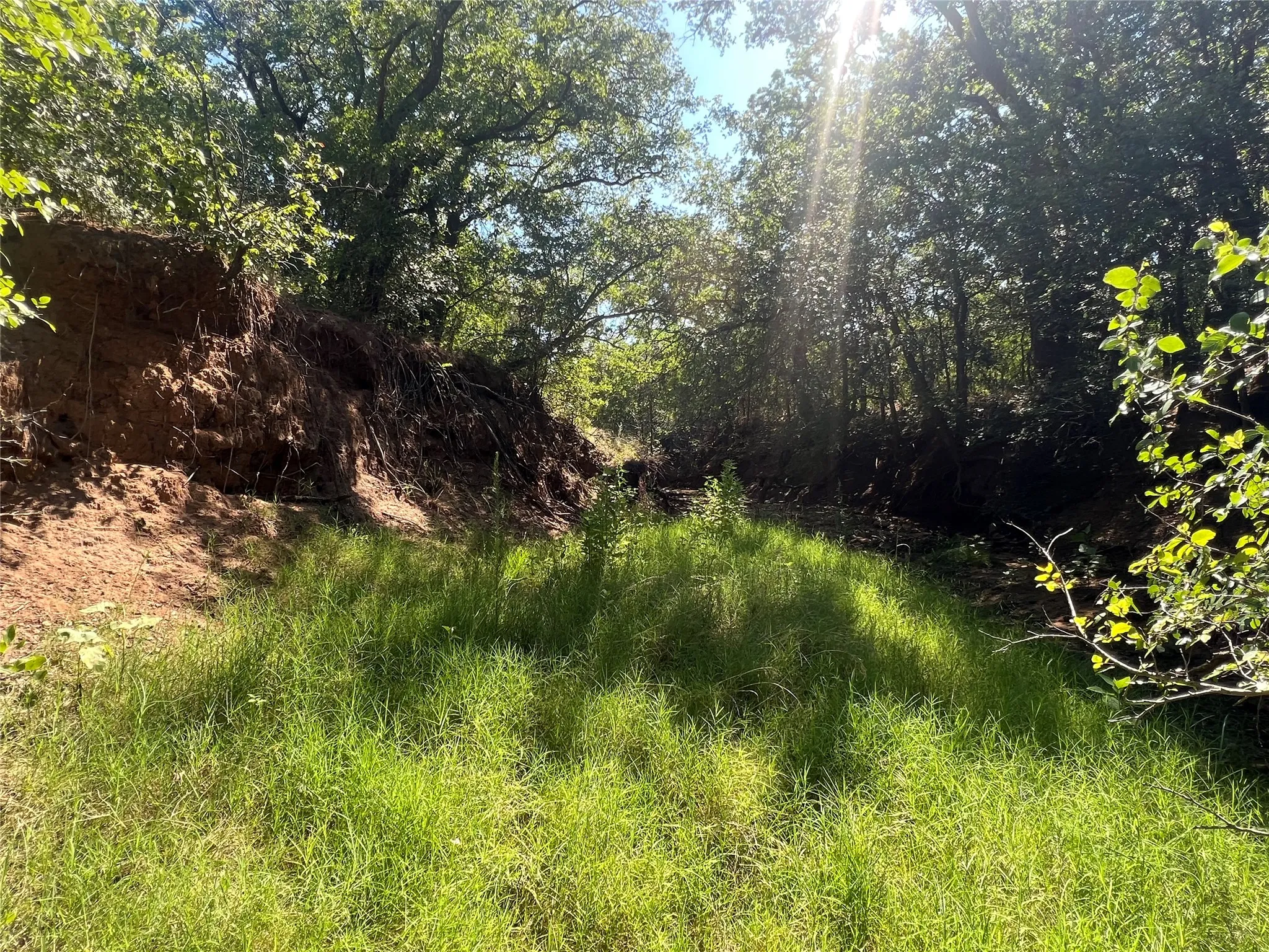 Ranch For Sale in Eastland County , 137 CR, Cisco, Texas 76437, 0, 0, Garage spaces, 0 Sqft, built in 0, mls#21353881, Real Estate Agent in Cisco, Homes For Sale in Eastland county, Homes For Sale in Cisco, Realtor in Cisco Texas, Real Estate Brokerage Independent Realty Texas, Luminita Cordes Realtor