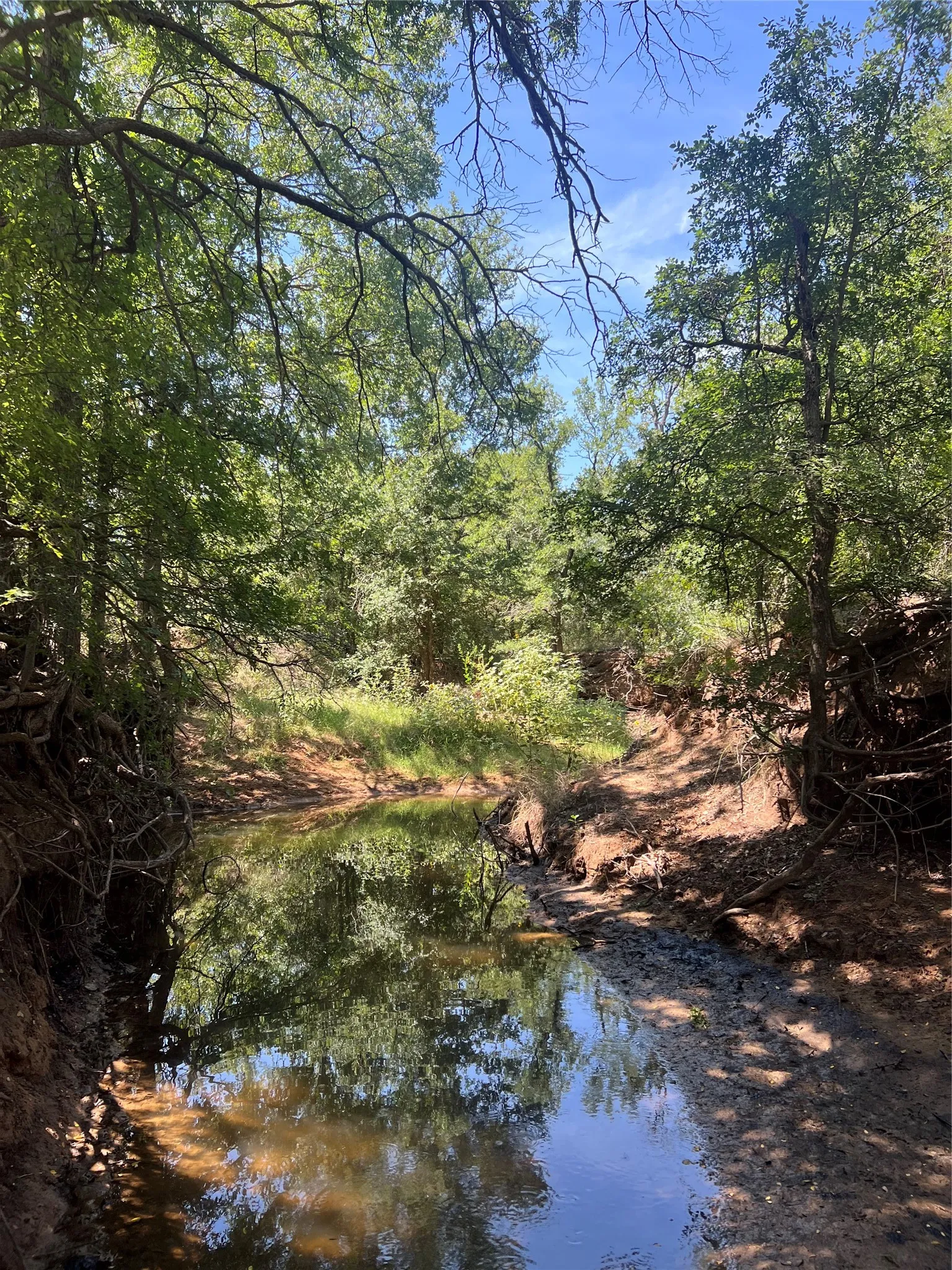 Ranch For Sale in Eastland County , 137 CR, Cisco, Texas 76437, 0, 0, Garage spaces, 0 Sqft, built in 0, mls#21353881, Real Estate Agent in Cisco, Homes For Sale in Eastland county, Homes For Sale in Cisco, Realtor in Cisco Texas, Real Estate Brokerage Independent Realty Texas, Luminita Cordes Realtor
