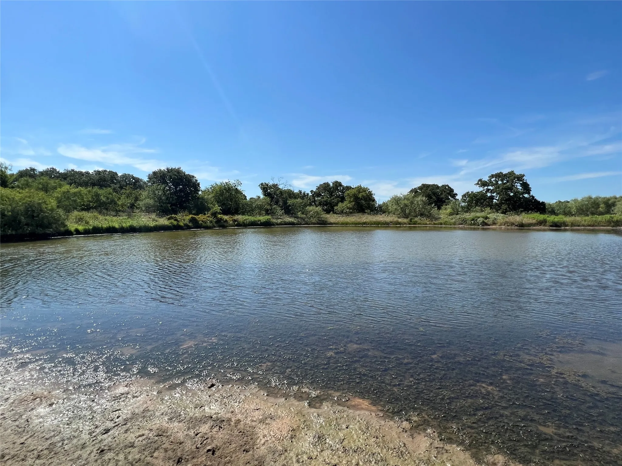 Ranch For Sale in Eastland County , 137 CR, Cisco, Texas 76437, 0, 0, Garage spaces, 0 Sqft, built in 0, mls#21353881, Real Estate Agent in Cisco, Homes For Sale in Eastland county, Homes For Sale in Cisco, Realtor in Cisco Texas, Real Estate Brokerage Independent Realty Texas, Luminita Cordes Realtor