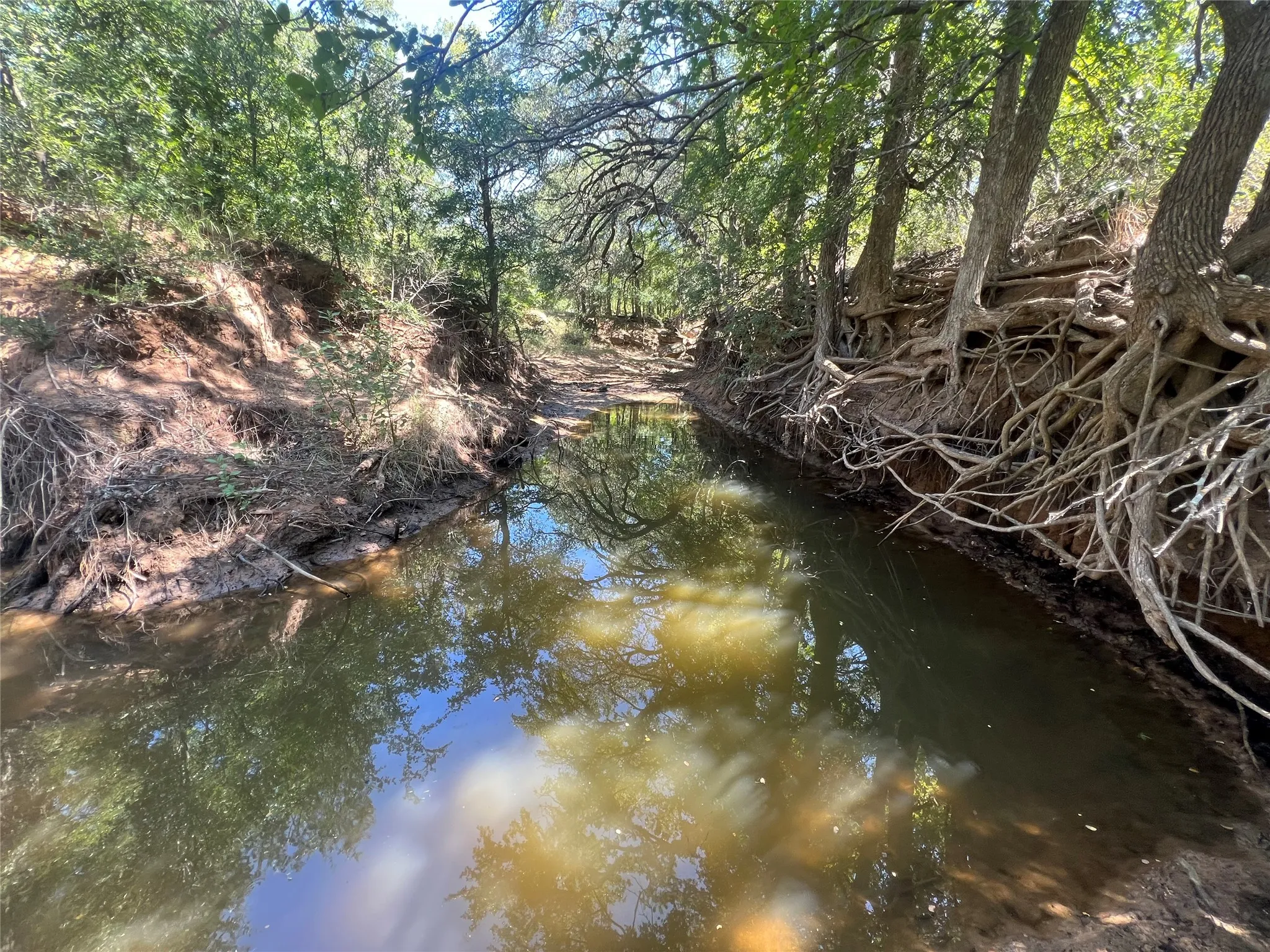 Ranch For Sale in Eastland County , 137 CR, Cisco, Texas 76437, 0, 0, Garage spaces, 0 Sqft, built in 0, mls#21353881, Real Estate Agent in Cisco, Homes For Sale in Eastland county, Homes For Sale in Cisco, Realtor in Cisco Texas, Real Estate Brokerage Independent Realty Texas, Luminita Cordes Realtor