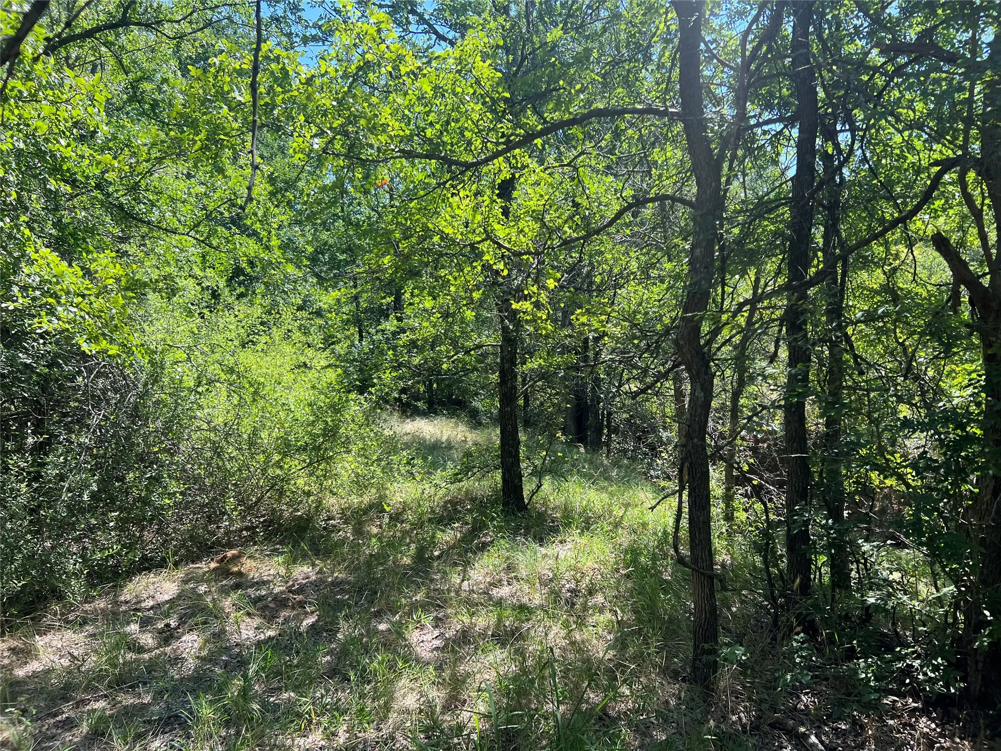 Ranch For Sale in Eastland County , 137 CR, Cisco, Texas 76437, 0, 0, Garage spaces, 0 Sqft, built in 0, mls#21353881, Real Estate Agent in Cisco, Homes For Sale in Eastland county, Homes For Sale in Cisco, Realtor in Cisco Texas, Real Estate Brokerage Independent Realty Texas, Luminita Cordes Realtor