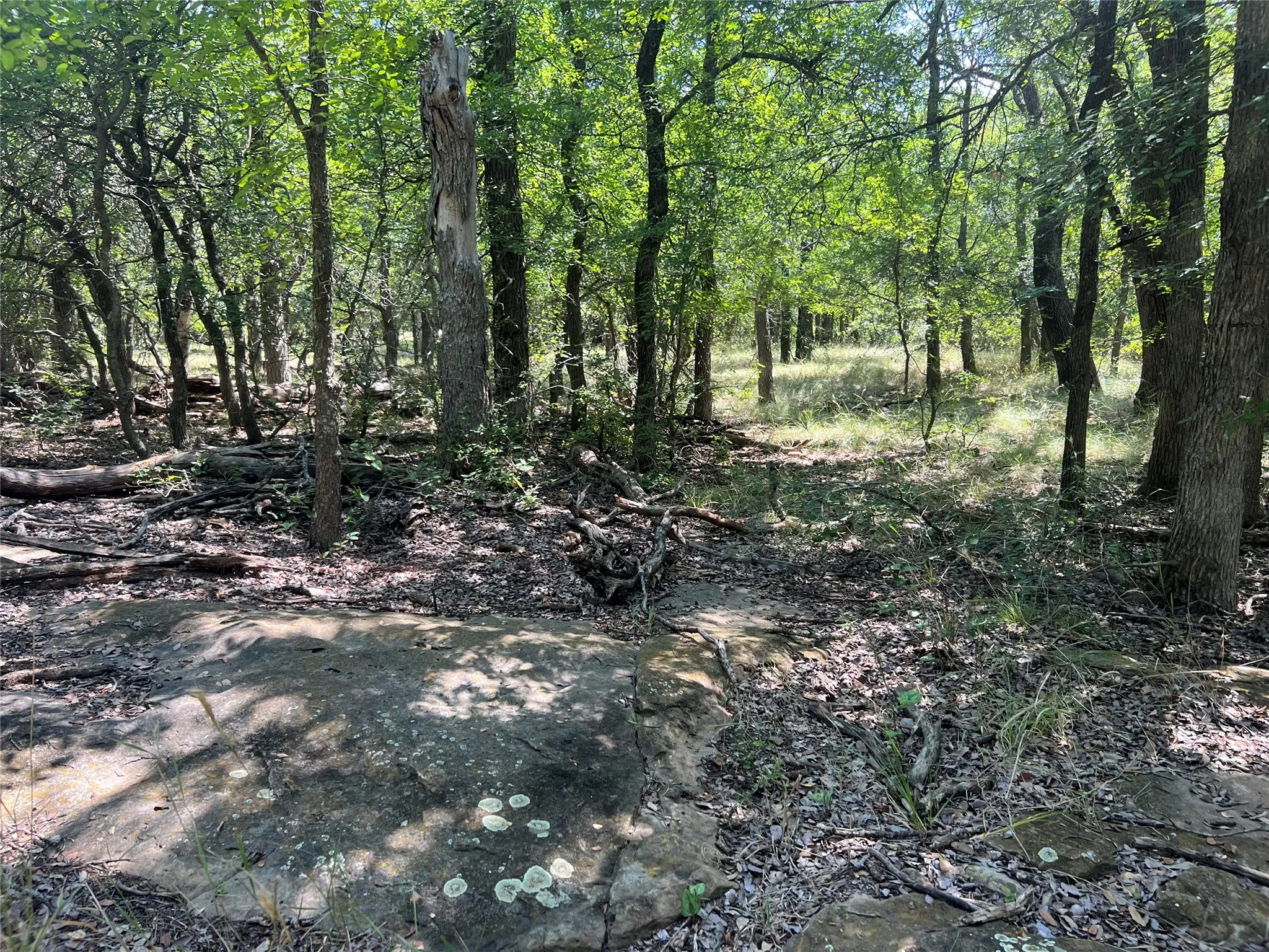 Ranch For Sale in Eastland County , 137 CR, Cisco, Texas 76437, 0, 0, Garage spaces, 0 Sqft, built in 0, mls#21353881, Real Estate Agent in Cisco, Homes For Sale in Eastland county, Homes For Sale in Cisco, Realtor in Cisco Texas, Real Estate Brokerage Independent Realty Texas, Luminita Cordes Realtor