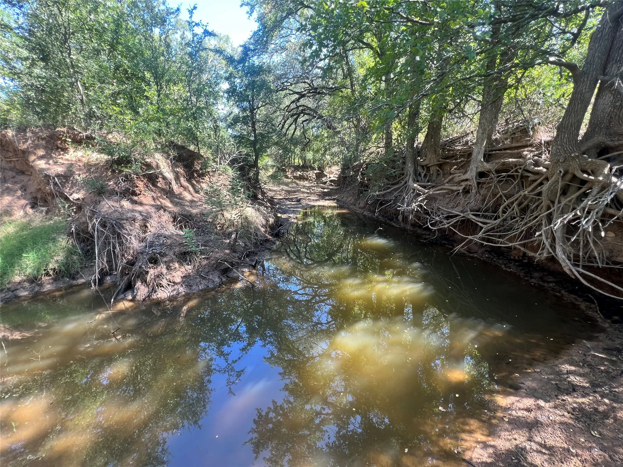 Ranch For Sale in Eastland County , 137 CR, Cisco, Texas 76437, 0, 0, Garage spaces, 0 Sqft, built in 0, mls#21353881, Real Estate Agent in Cisco, Homes For Sale in Eastland county, Homes For Sale in Cisco, Realtor in Cisco Texas, Real Estate Brokerage Independent Realty Texas, Luminita Cordes Realtor