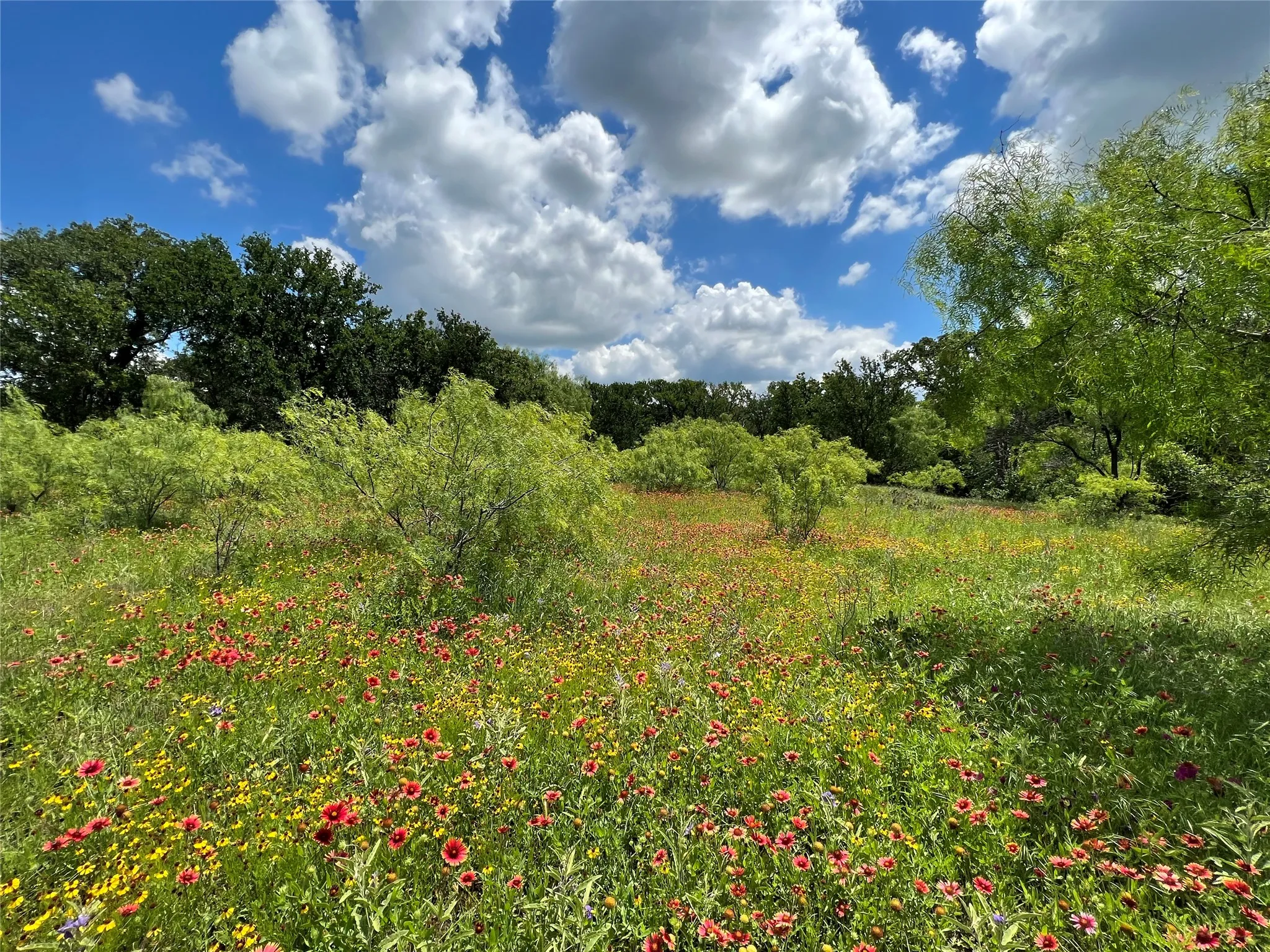 Ranch For Sale in Eastland County , 137 CR, Cisco, Texas 76437, 0, 0, Garage spaces, 0 Sqft, built in 0, mls#21353881, Real Estate Agent in Cisco, Homes For Sale in Eastland county, Homes For Sale in Cisco, Realtor in Cisco Texas, Real Estate Brokerage Independent Realty Texas, Luminita Cordes Realtor