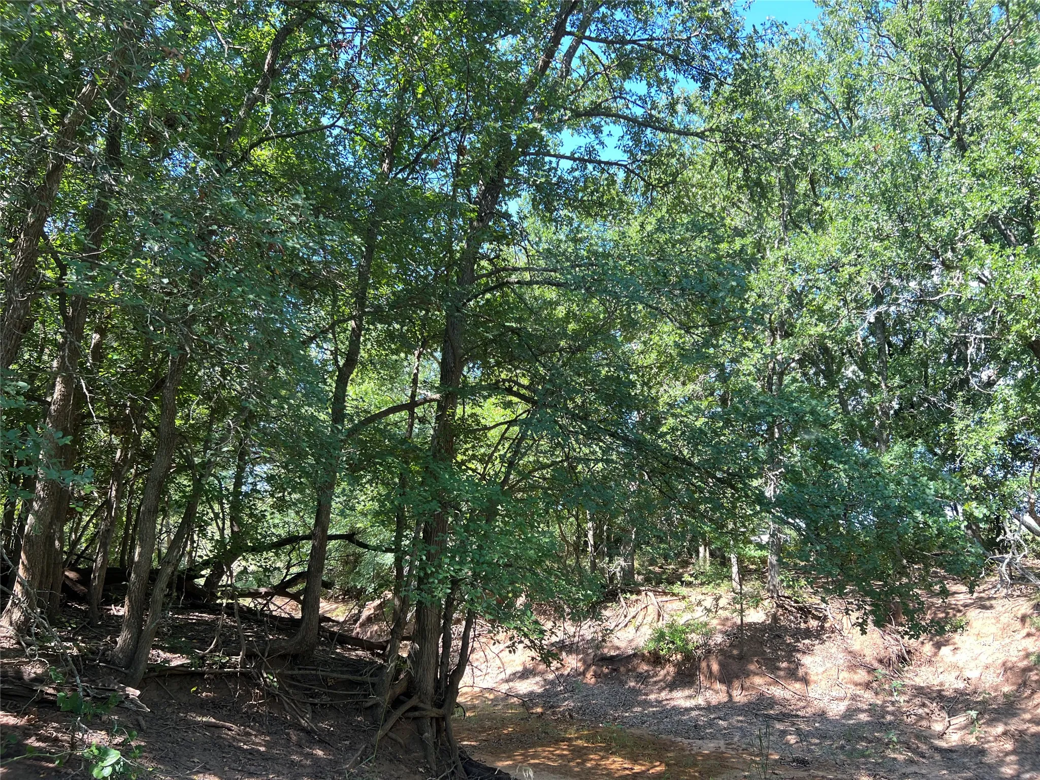 Ranch For Sale in Eastland County , 137 CR, Cisco, Texas 76437, 0, 0, Garage spaces, 0 Sqft, built in 0, mls#21353881, Real Estate Agent in Cisco, Homes For Sale in Eastland county, Homes For Sale in Cisco, Realtor in Cisco Texas, Real Estate Brokerage Independent Realty Texas, Luminita Cordes Realtor