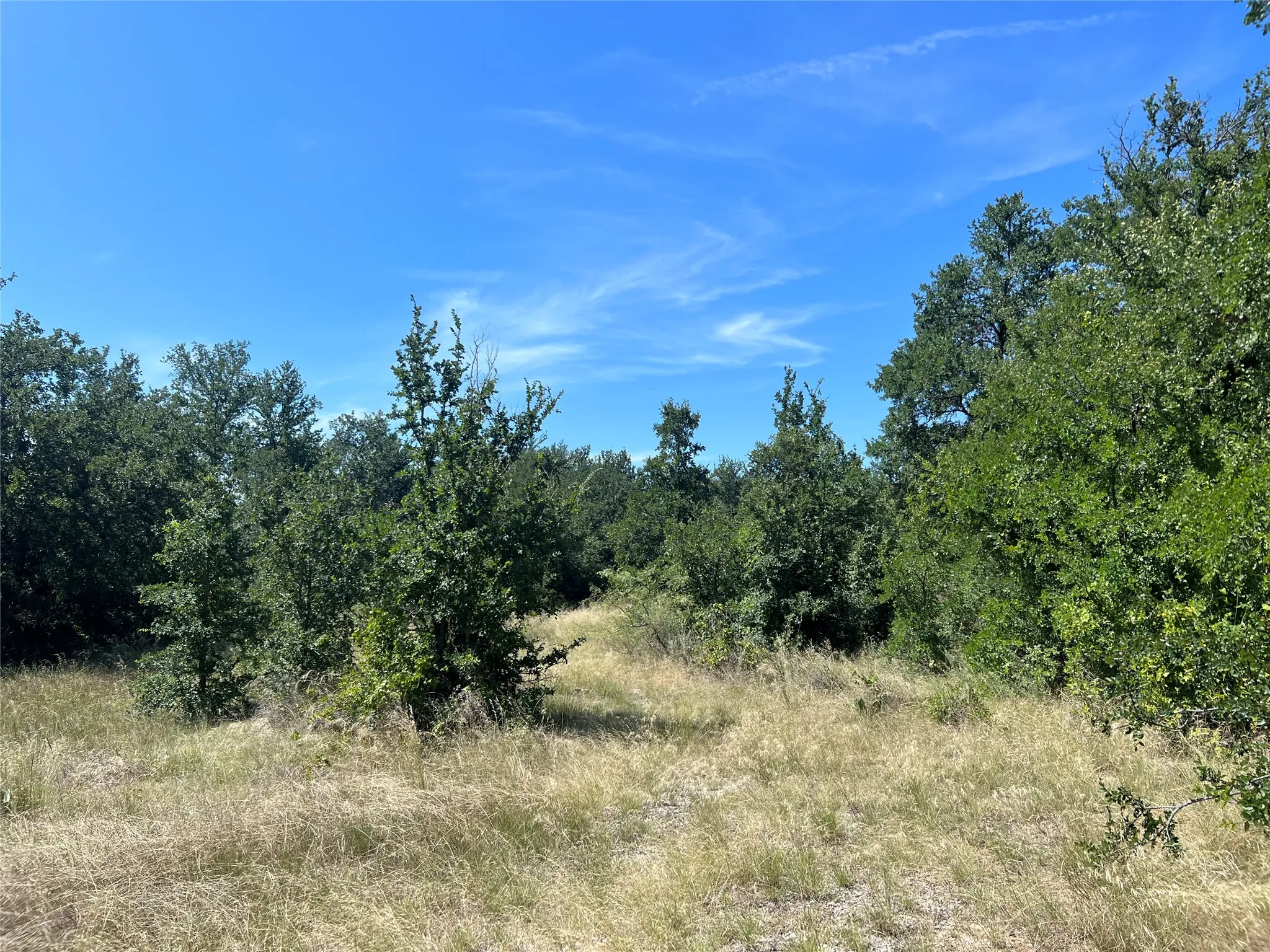 Ranch For Sale in Eastland County , 137 CR, Cisco, Texas 76437, 0, 0, Garage spaces, 0 Sqft, built in 0, mls#21353881, Real Estate Agent in Cisco, Homes For Sale in Eastland county, Homes For Sale in Cisco, Realtor in Cisco Texas, Real Estate Brokerage Independent Realty Texas, Luminita Cordes Realtor