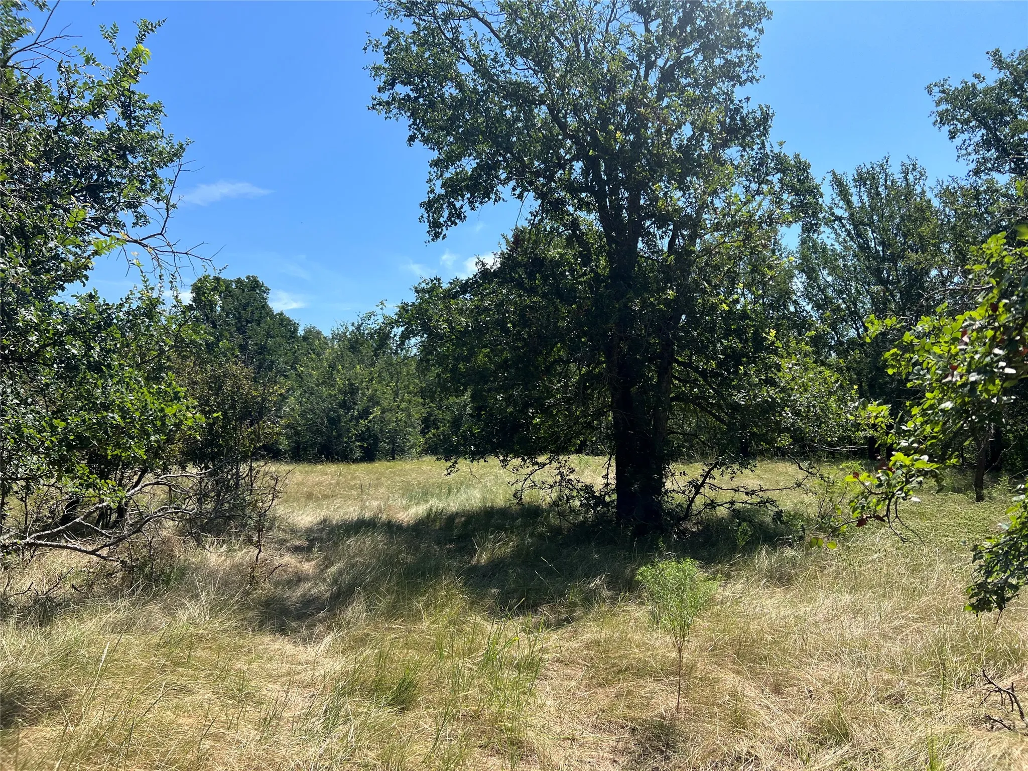 Ranch For Sale in Eastland County , 137 CR, Cisco, Texas 76437, 0, 0, Garage spaces, 0 Sqft, built in 0, mls#21353881, Real Estate Agent in Cisco, Homes For Sale in Eastland county, Homes For Sale in Cisco, Realtor in Cisco Texas, Real Estate Brokerage Independent Realty Texas, Luminita Cordes Realtor