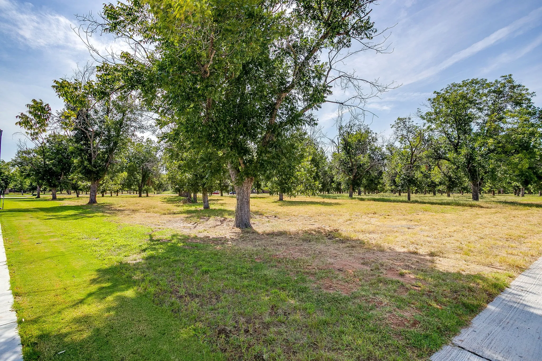 Unimproved Land For Sale in Hood County , 943 E Landings, Granbury, Texas 76049, 0, 0, Garage spaces, 0 Sqft, built in 0, mls#21349333, Real Estate Agent in Granbury, Homes For Sale in Hood county, Homes For Sale in Granbury, Realtor in Granbury Texas, Real Estate Brokerage Independent Realty Texas, Luminita Cordes Realtor