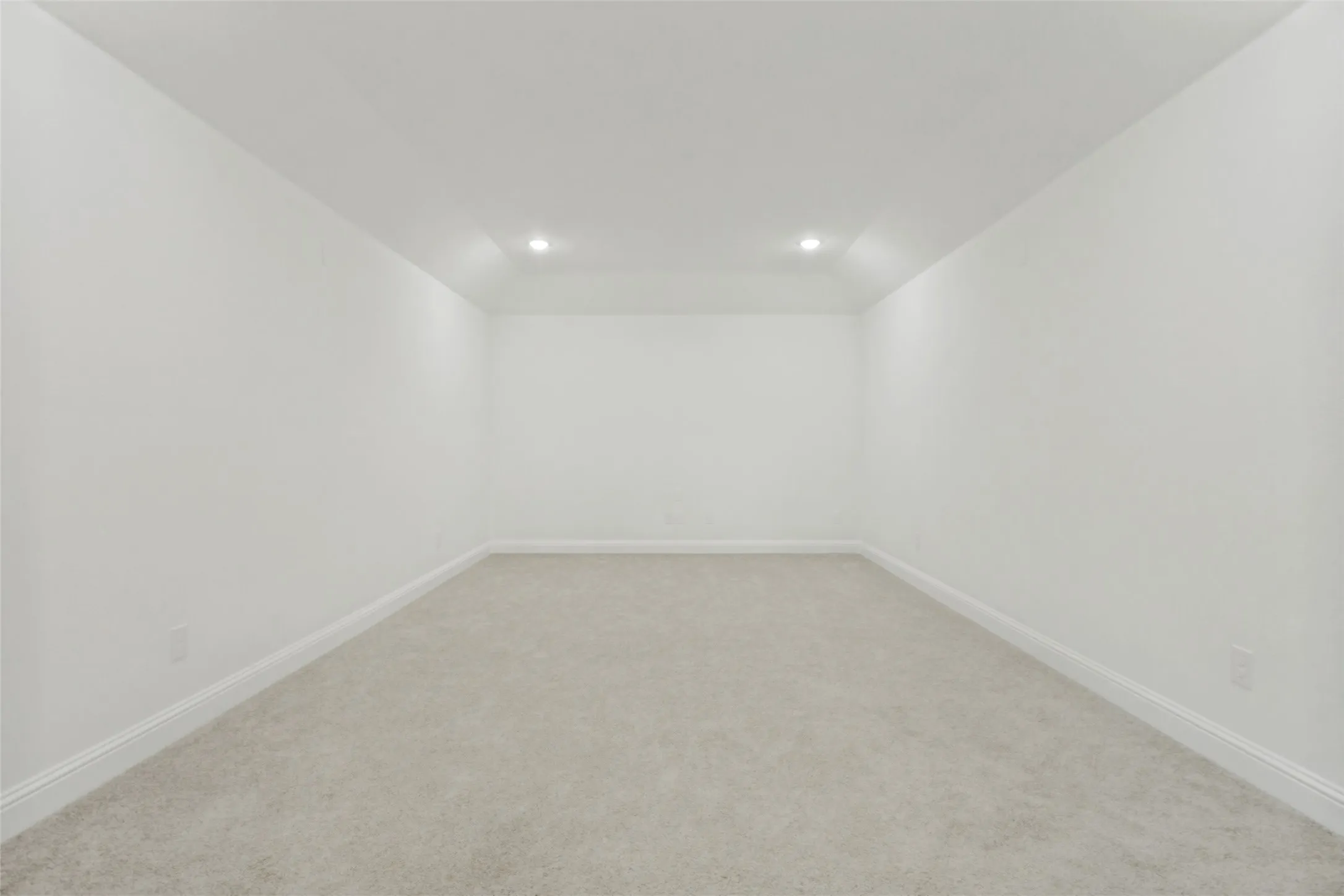 Spacious Media Room