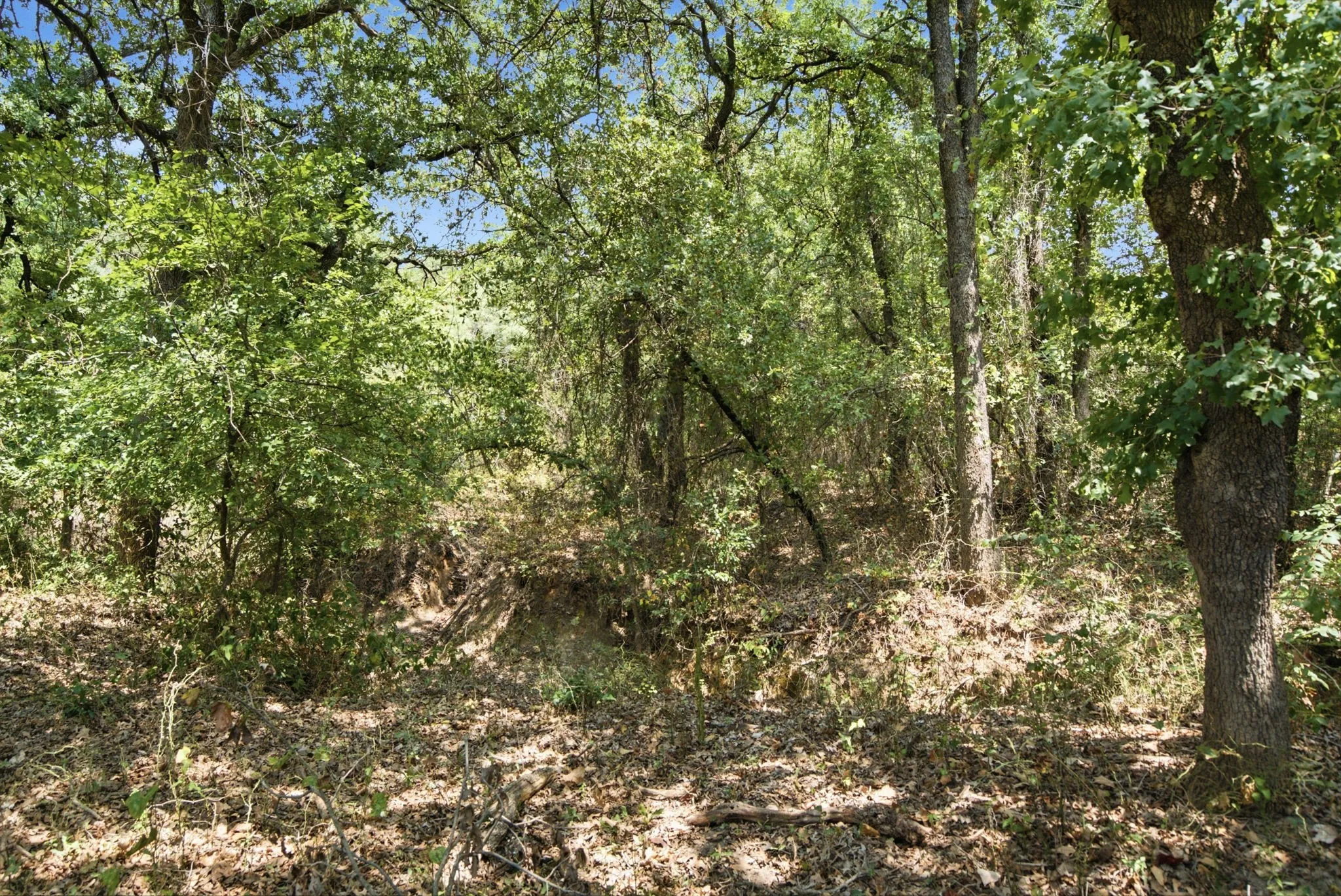Single Family Residence For Sale in Parker County , 374 Clark Lake Road, Weatherford, Texas 76088, 3 Bedroom, 2 Bathroom, 2 Garage spaces, 2,039 Sqft, built in 2022, mls#21354139, Real Estate Agent in Weatherford, Homes For Sale in Parker county, Homes For Sale in Weatherford, Realtor in Weatherford Texas, Real Estate Brokerage Independent Realty Texas, Luminita Cordes Realtor