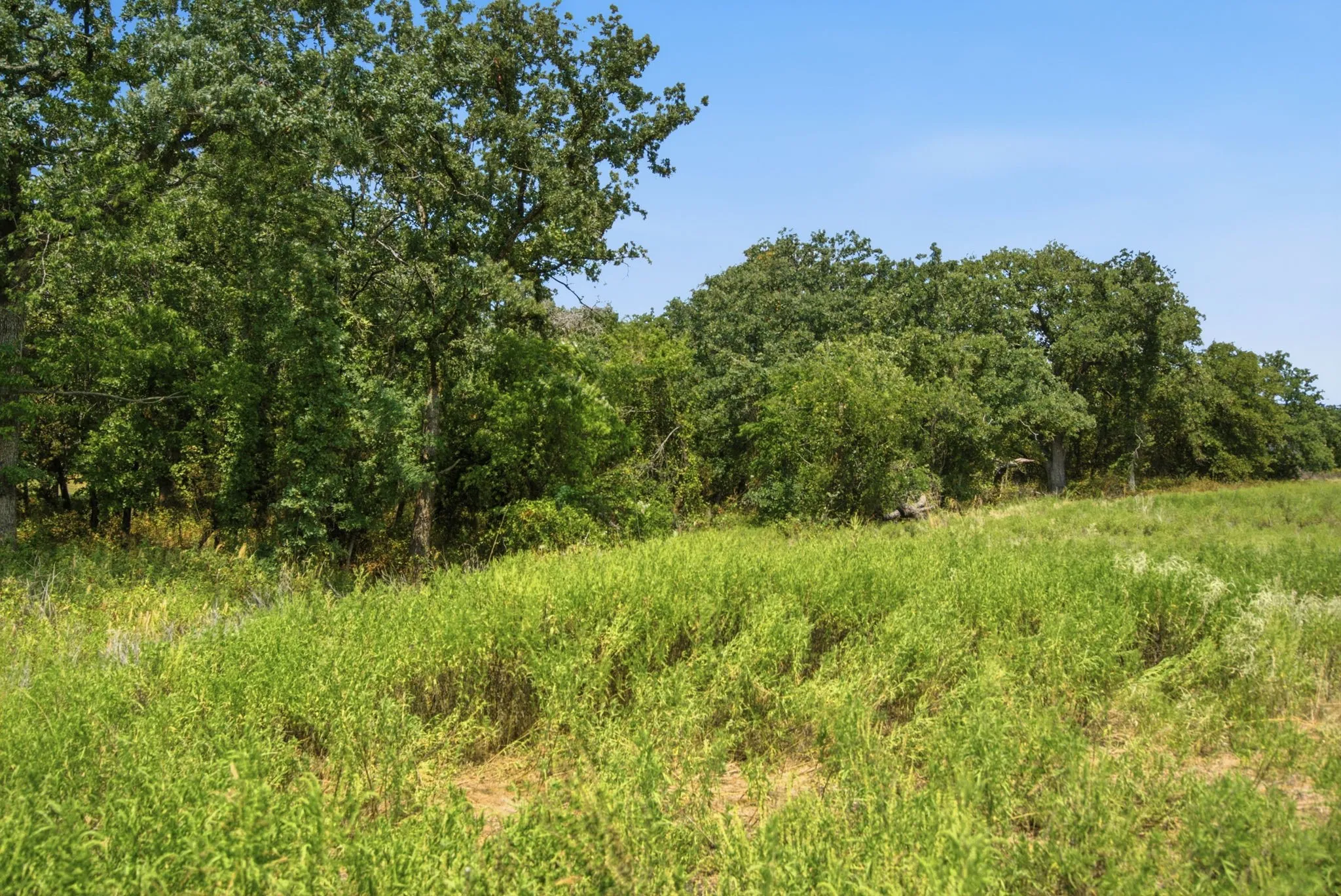 Single Family Residence For Sale in Parker County , 374 Clark Lake Road, Weatherford, Texas 76088, 3 Bedroom, 2 Bathroom, 2 Garage spaces, 2,039 Sqft, built in 2022, mls#21354139, Real Estate Agent in Weatherford, Homes For Sale in Parker county, Homes For Sale in Weatherford, Realtor in Weatherford Texas, Real Estate Brokerage Independent Realty Texas, Luminita Cordes Realtor
