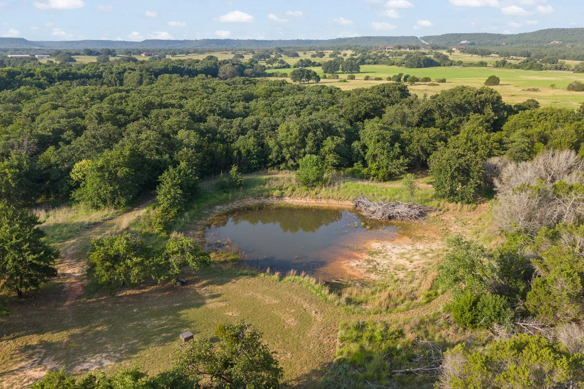 Pond